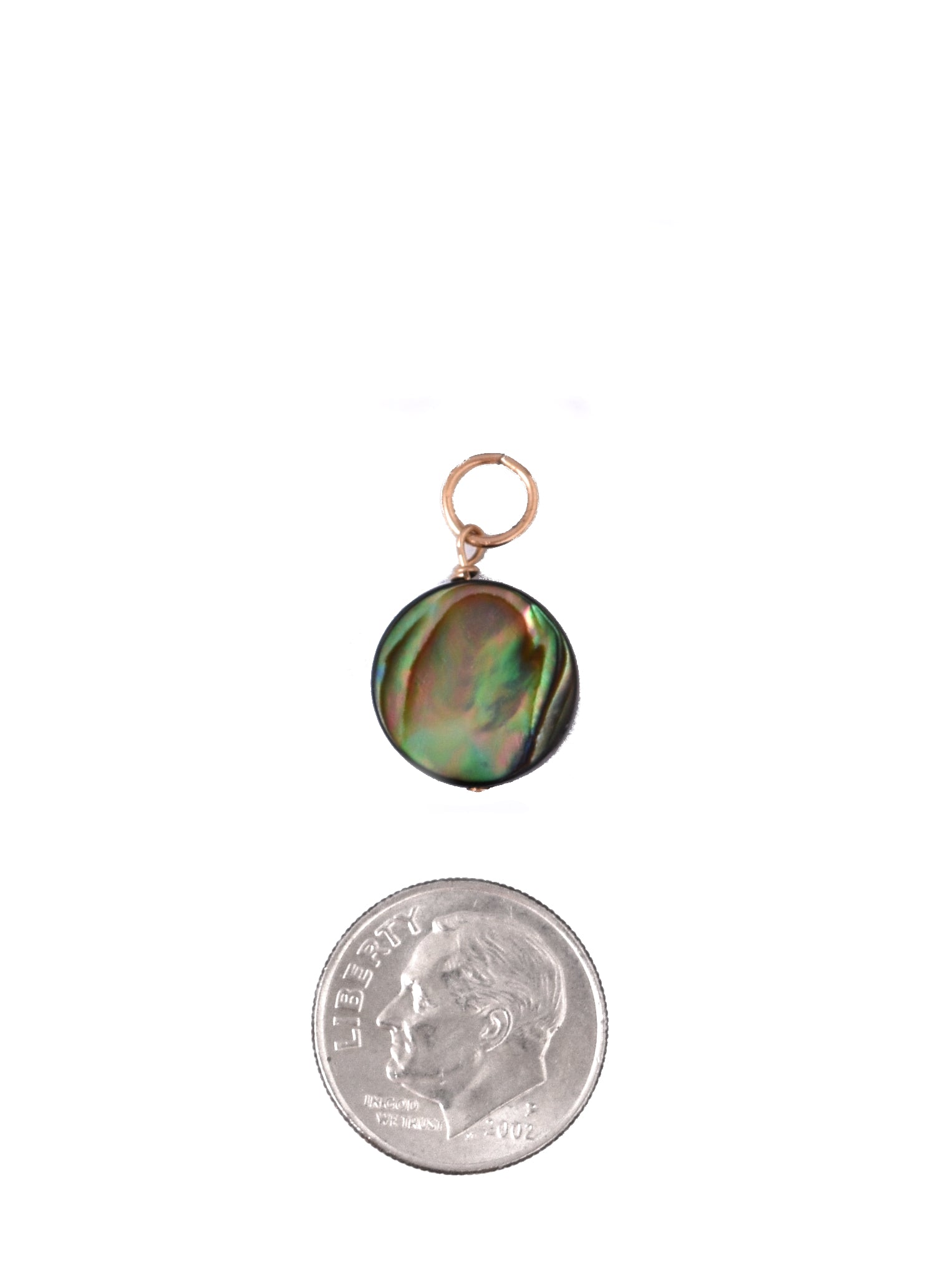 Round Abalone Charm