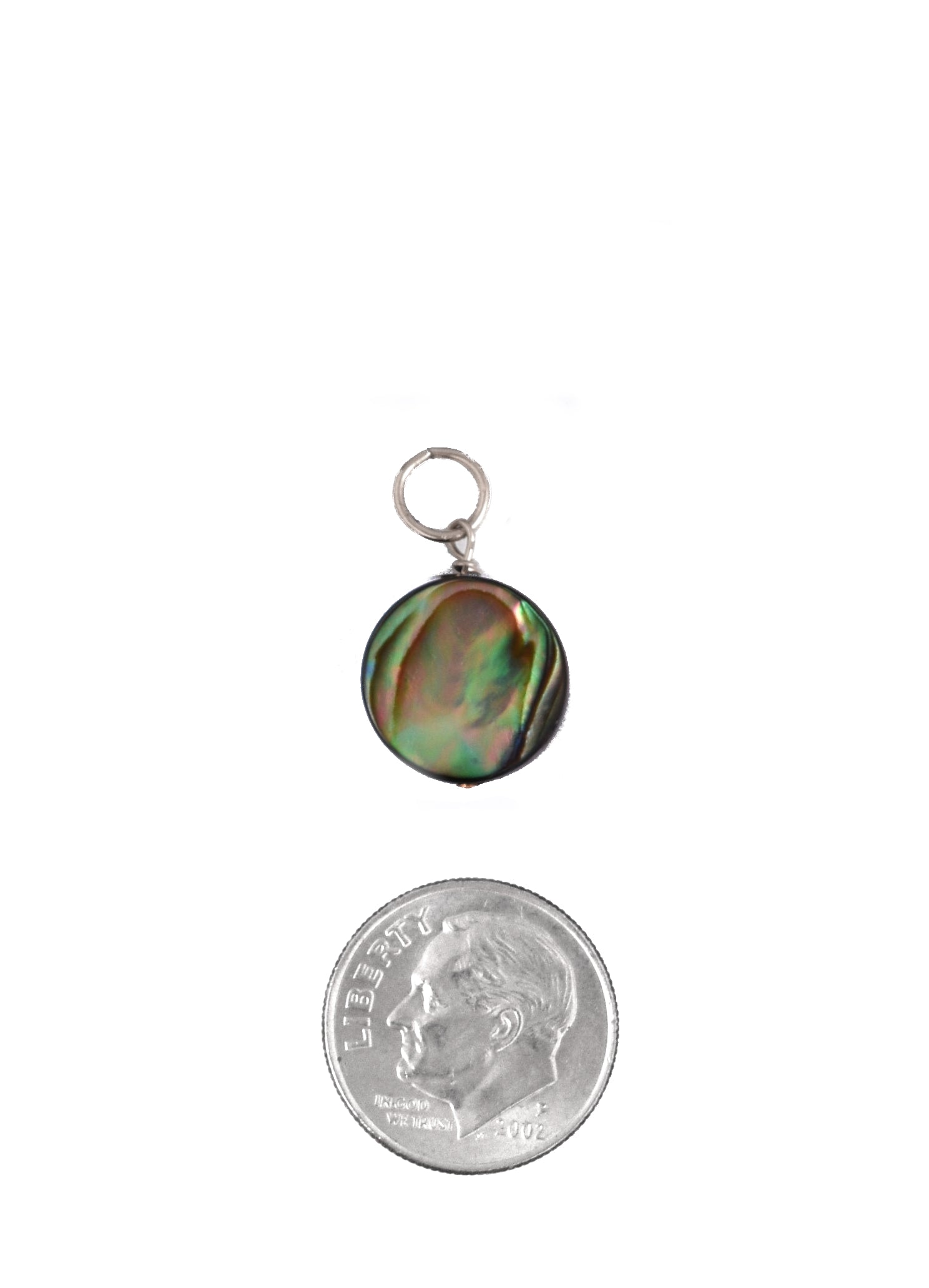 Round Abalone Charm