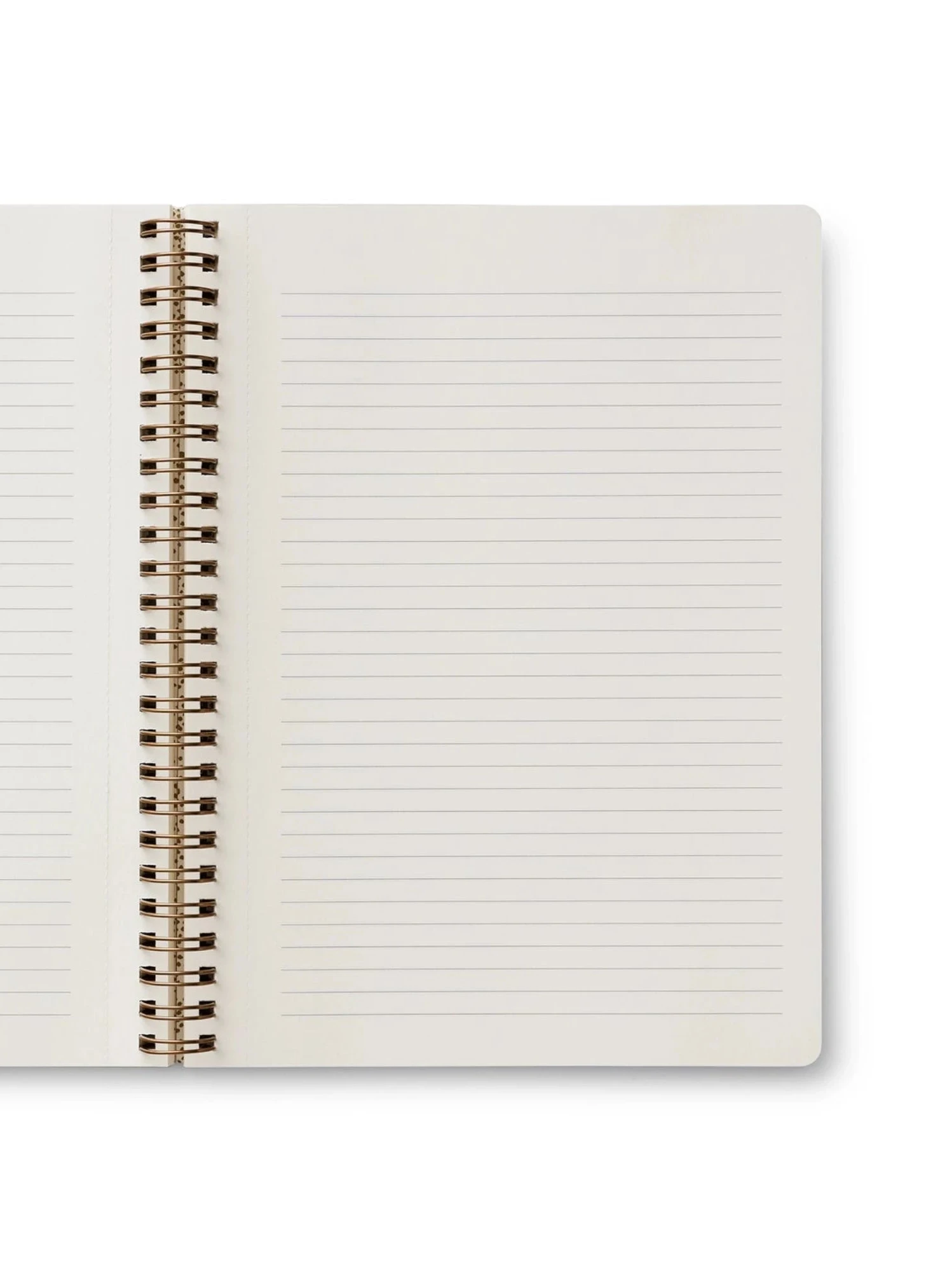 Curio Spiral Notebook