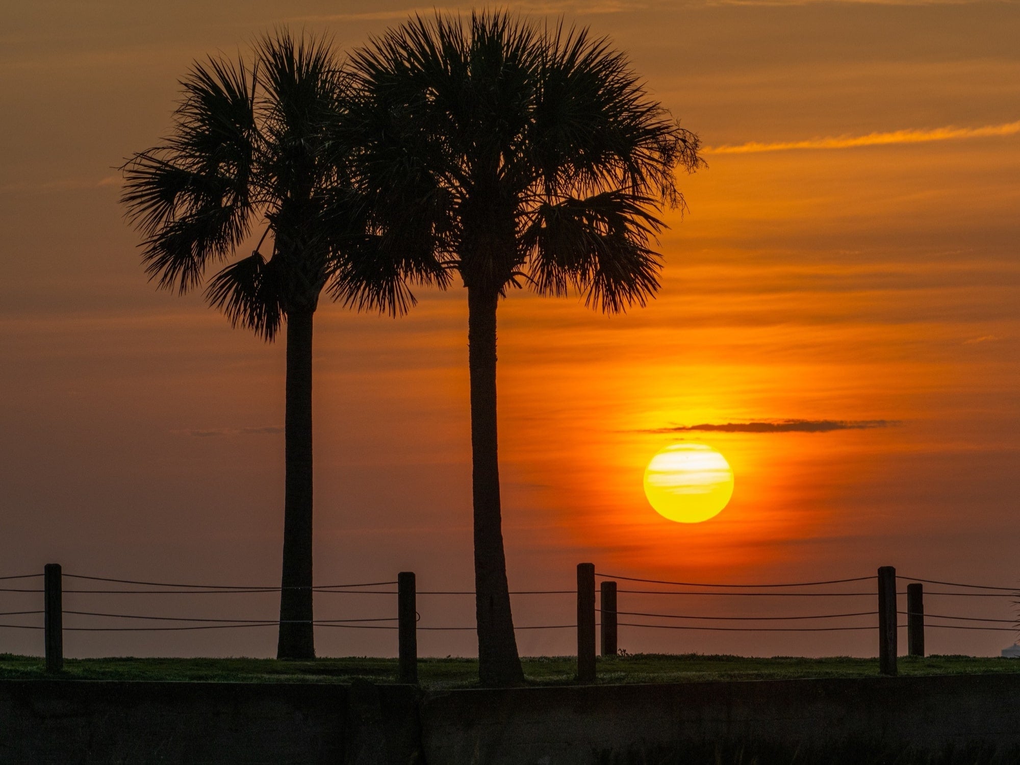 Lowcounty Life 2025 Wall Calendar