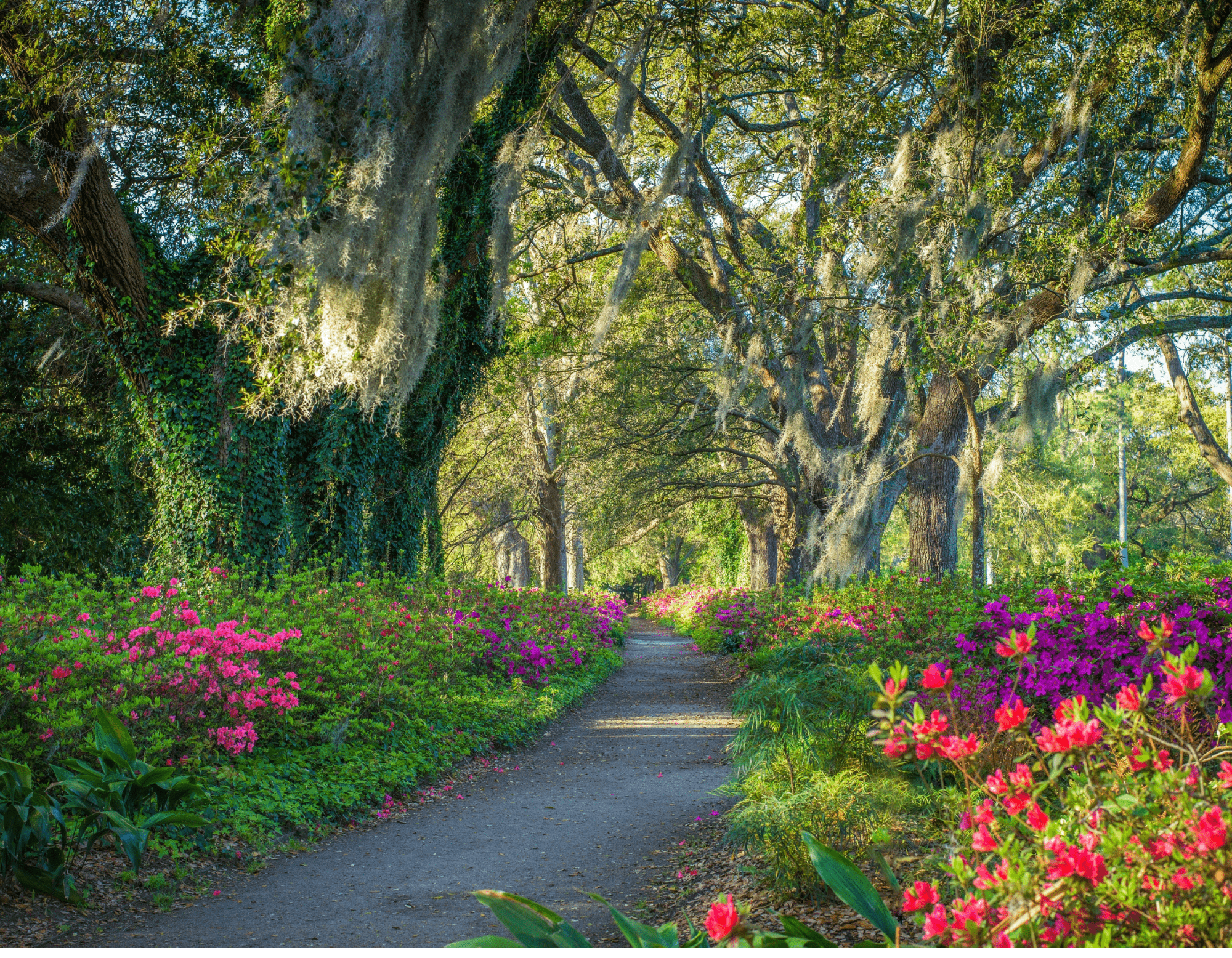 Lowcountry Life Wall Calendar 2025