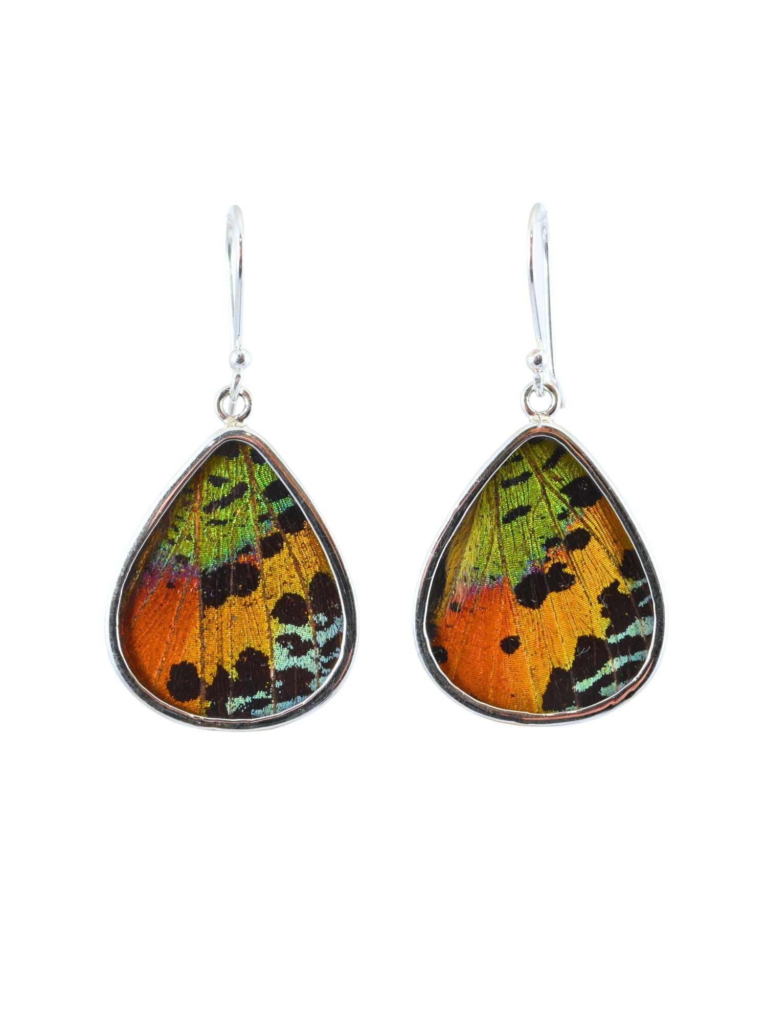Mariposa Teardrops in Rainbow Sunset