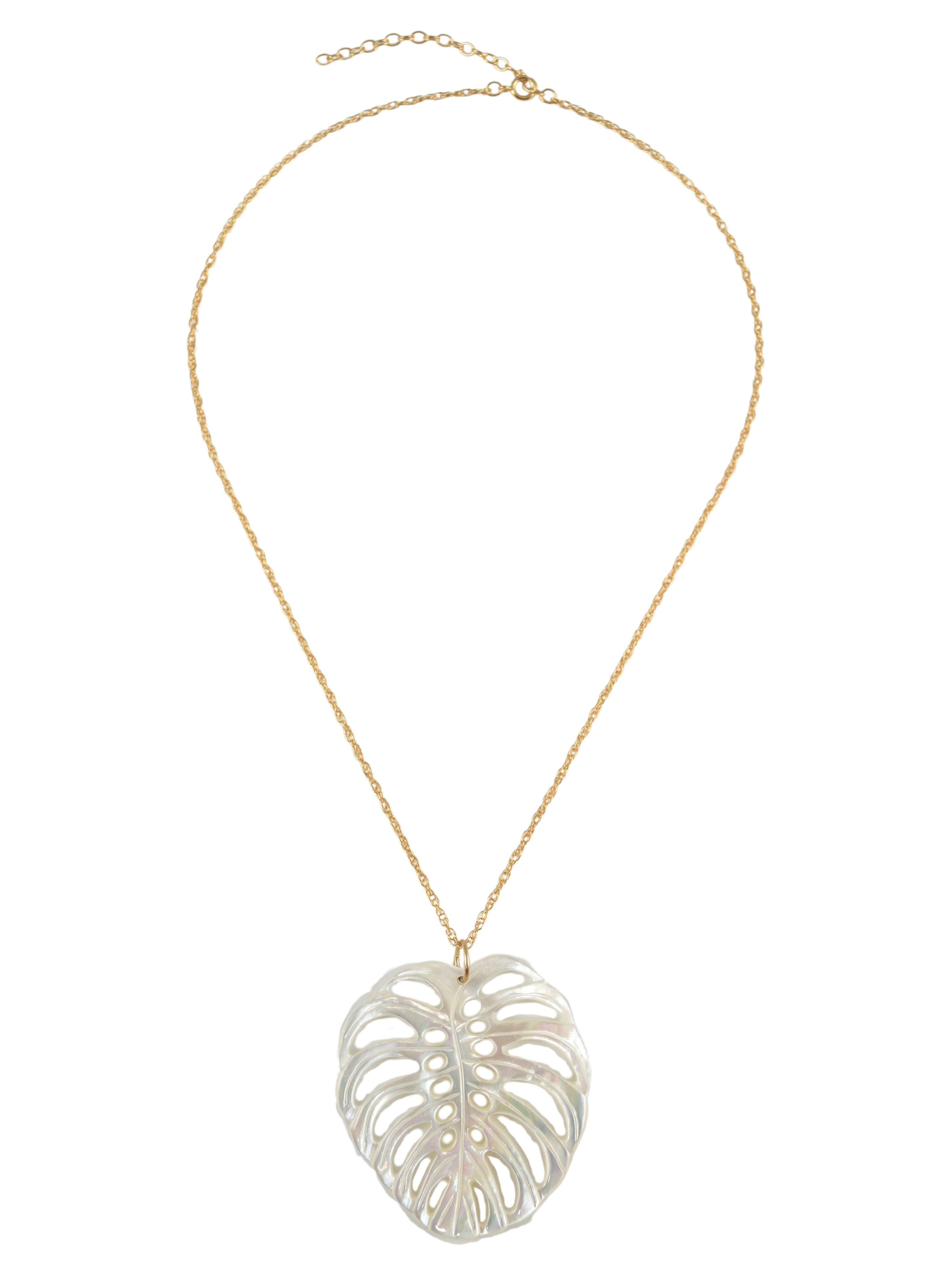 Monstera Deliciosa Charm