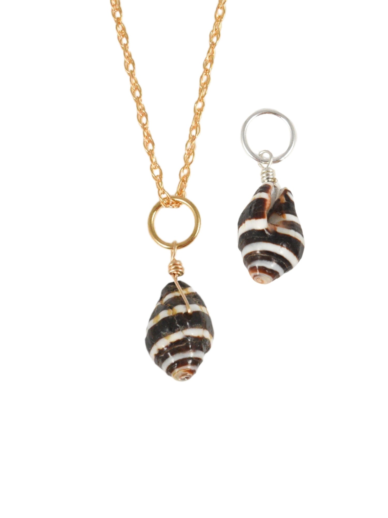 Moroccan Shell Charm