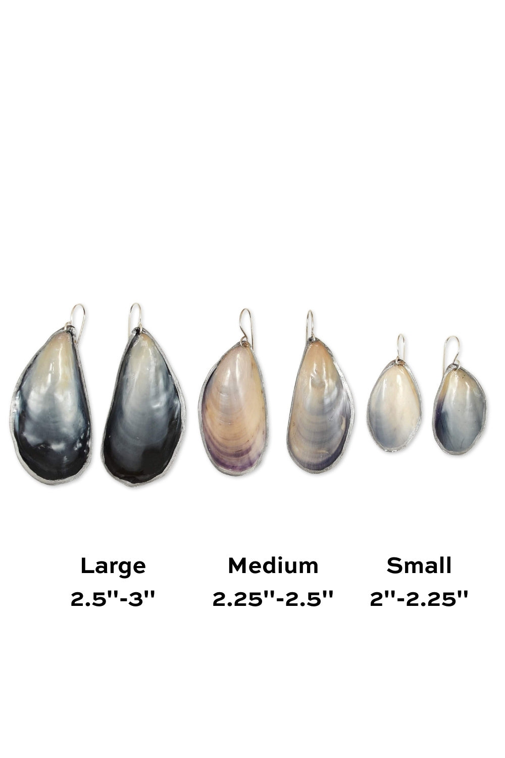 Mussel Earrings in Sterling Silver