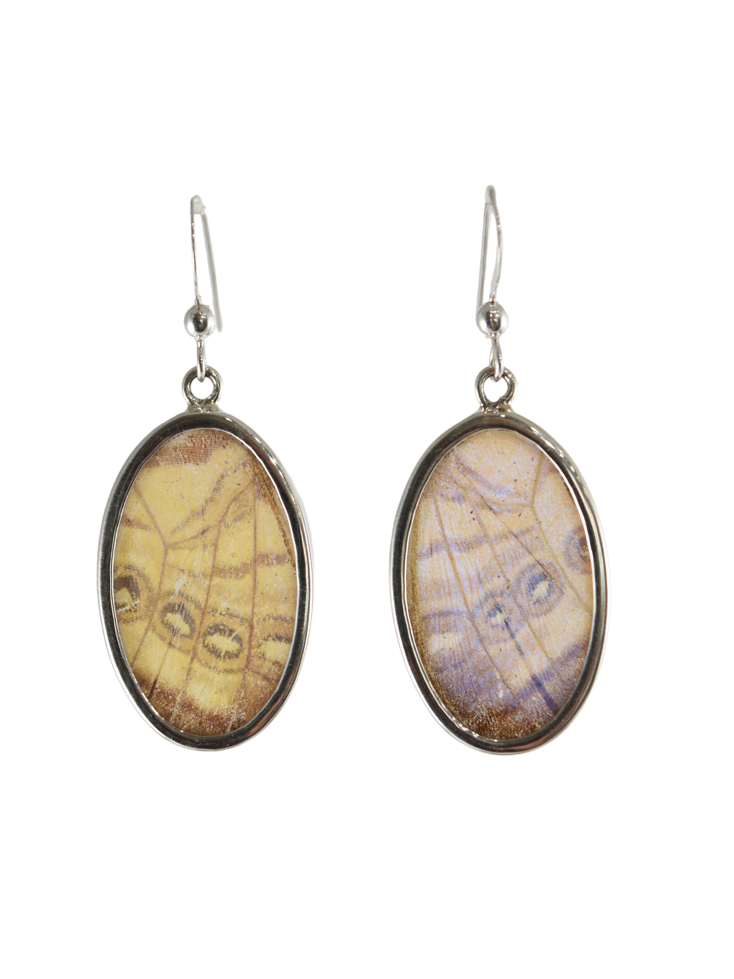 Mariposa Ovals in Fairy
