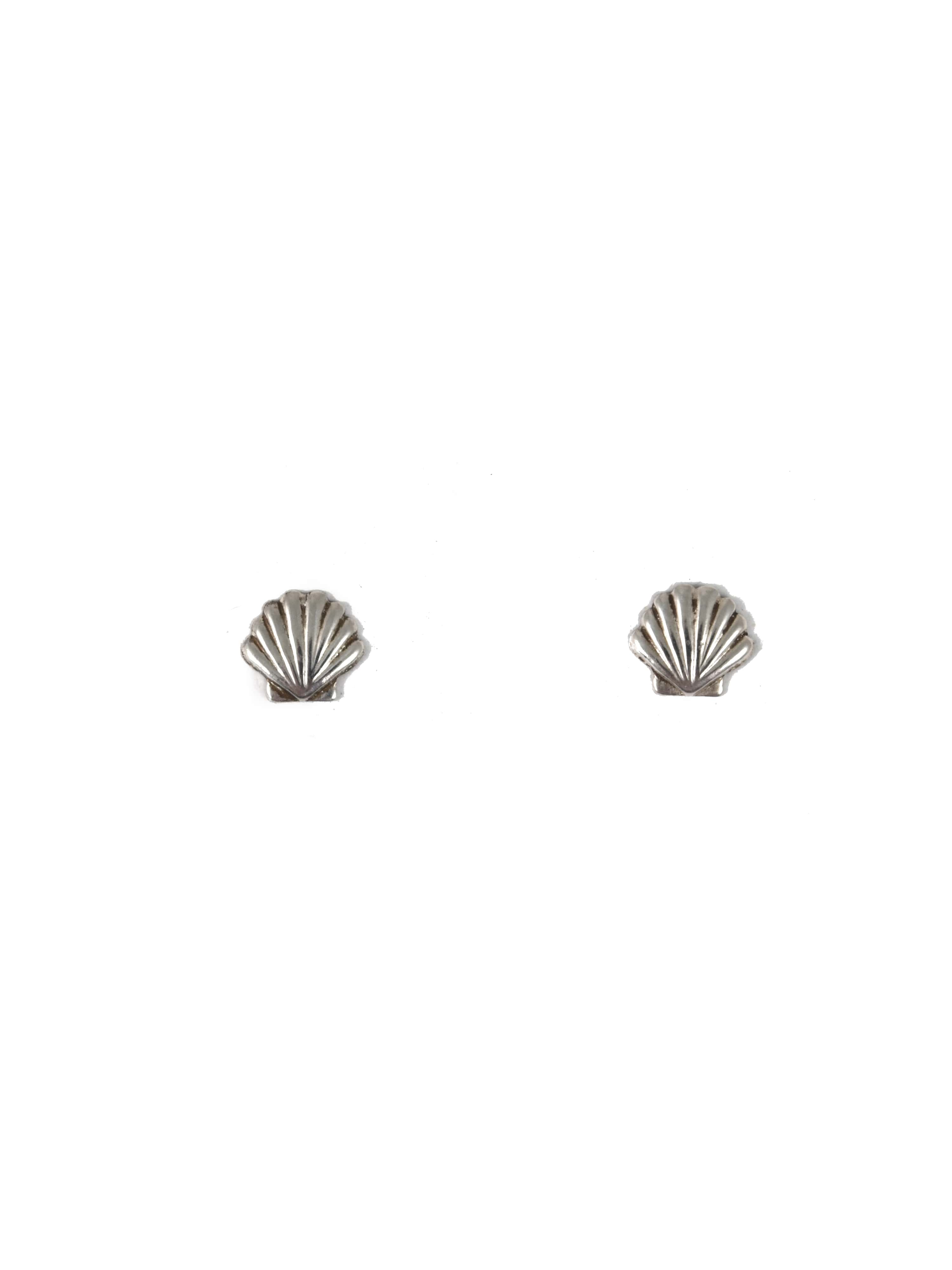 Scallop Shell Stud Earrings