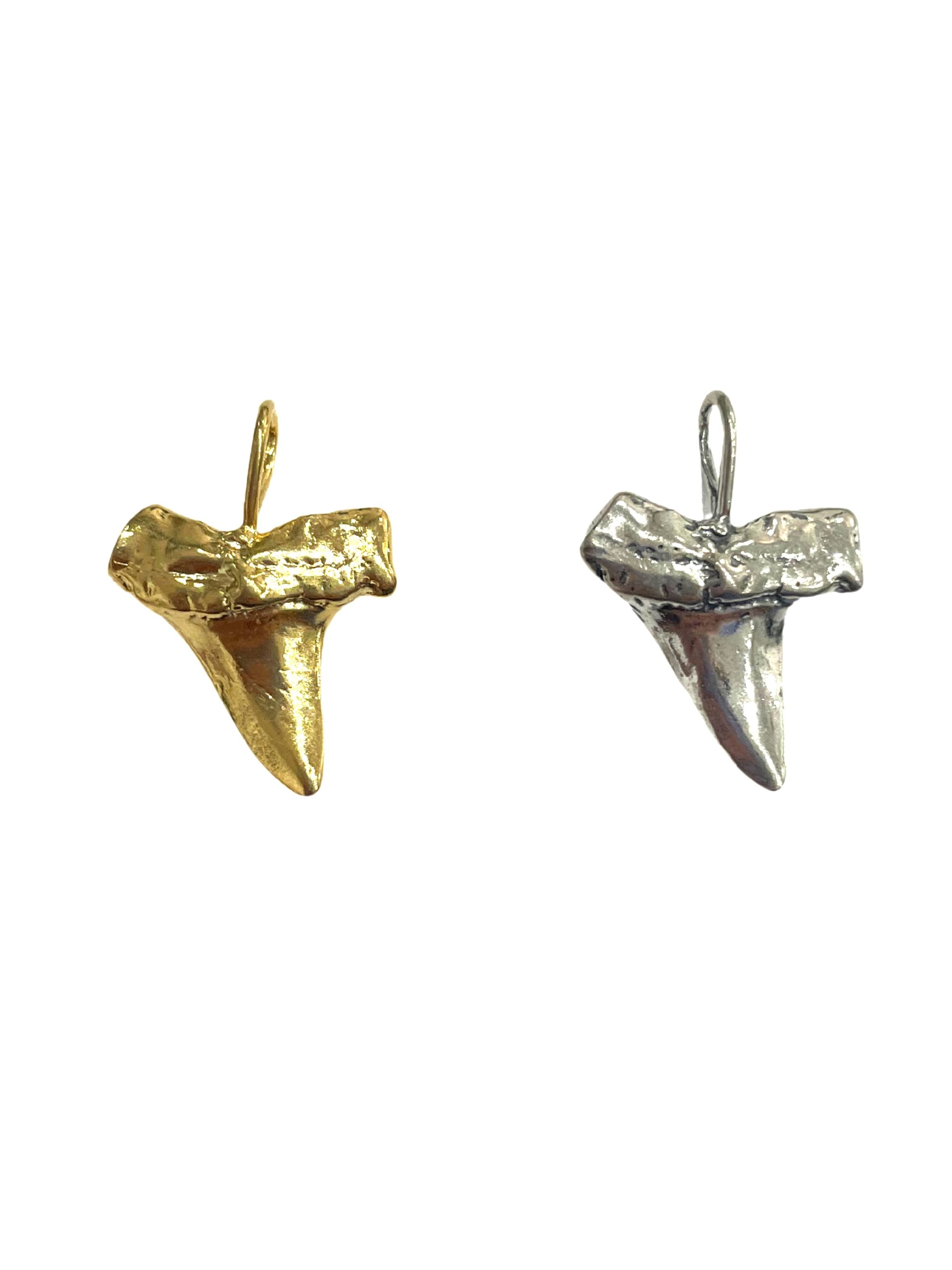Shark Tooth Pendant