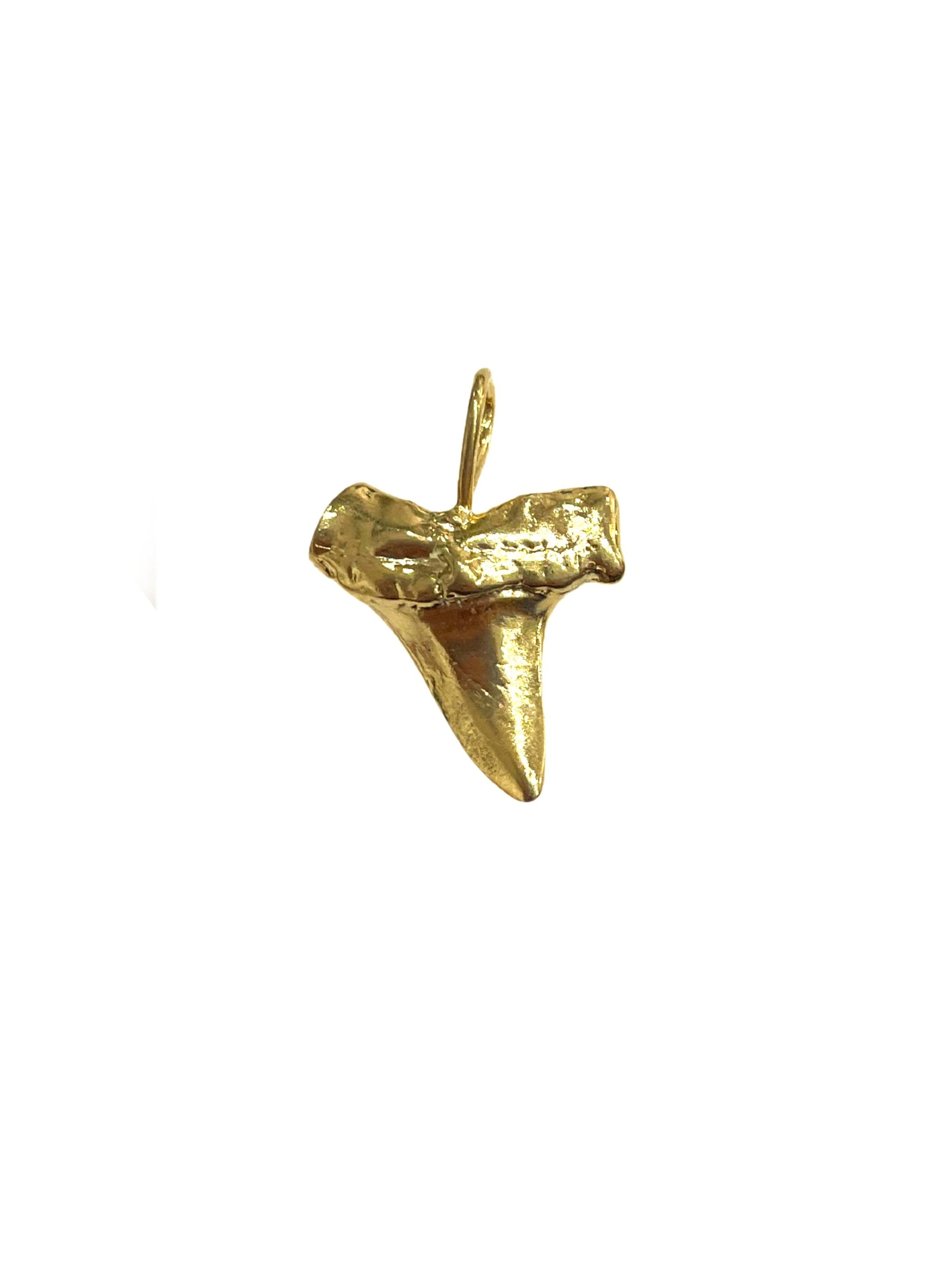 Shark Tooth Pendant