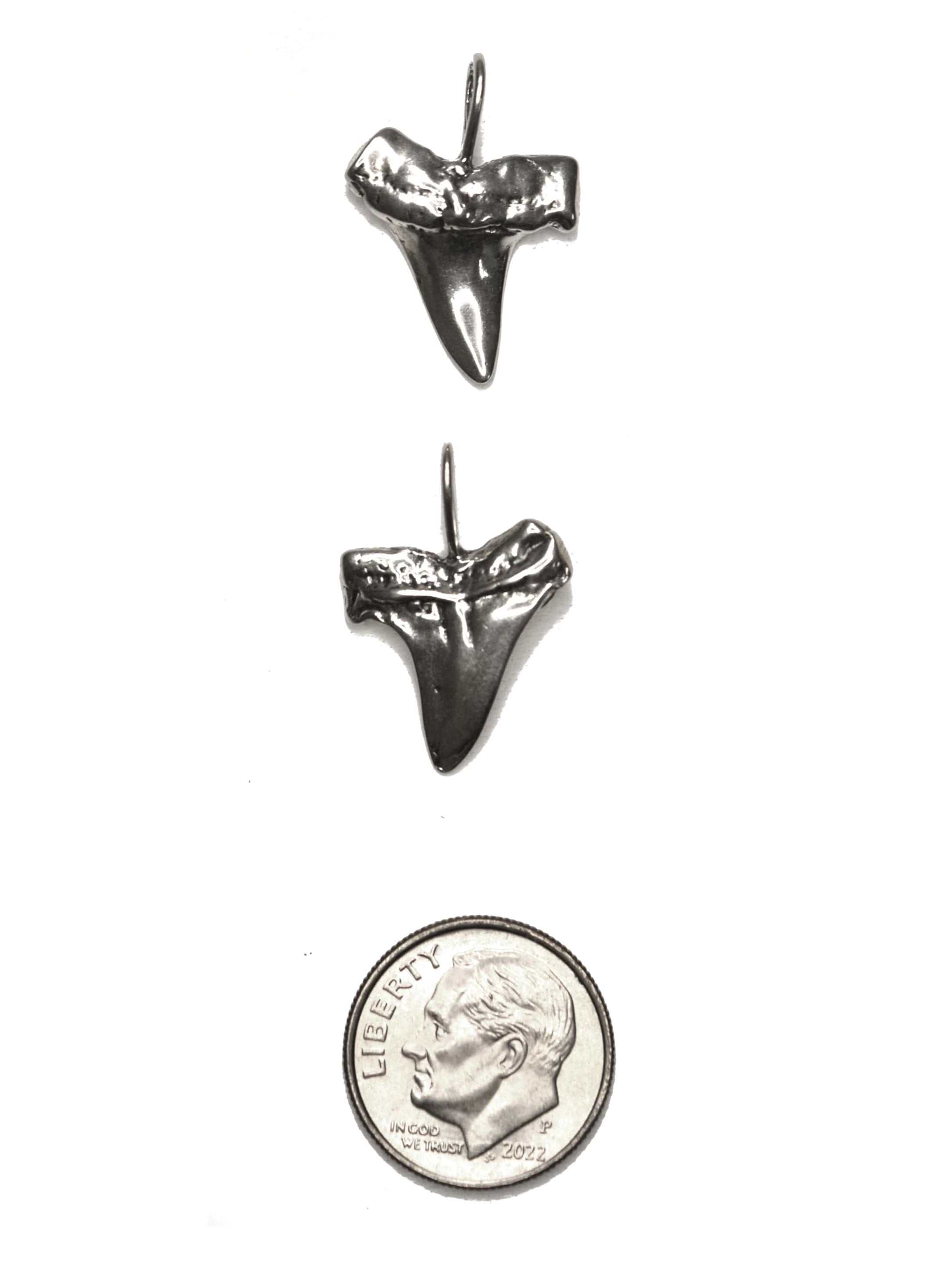 Shark Tooth Pendant
