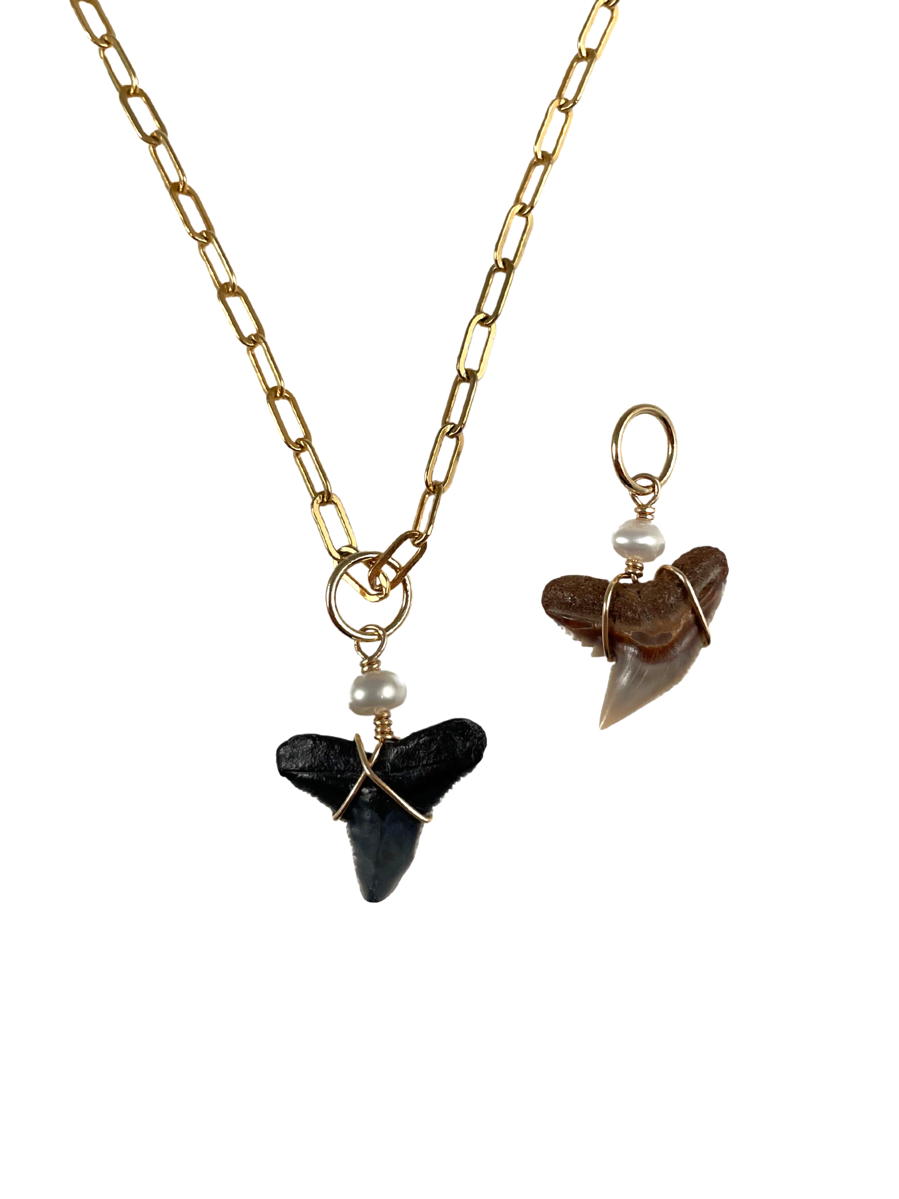 Natural Shark Tooth Charms