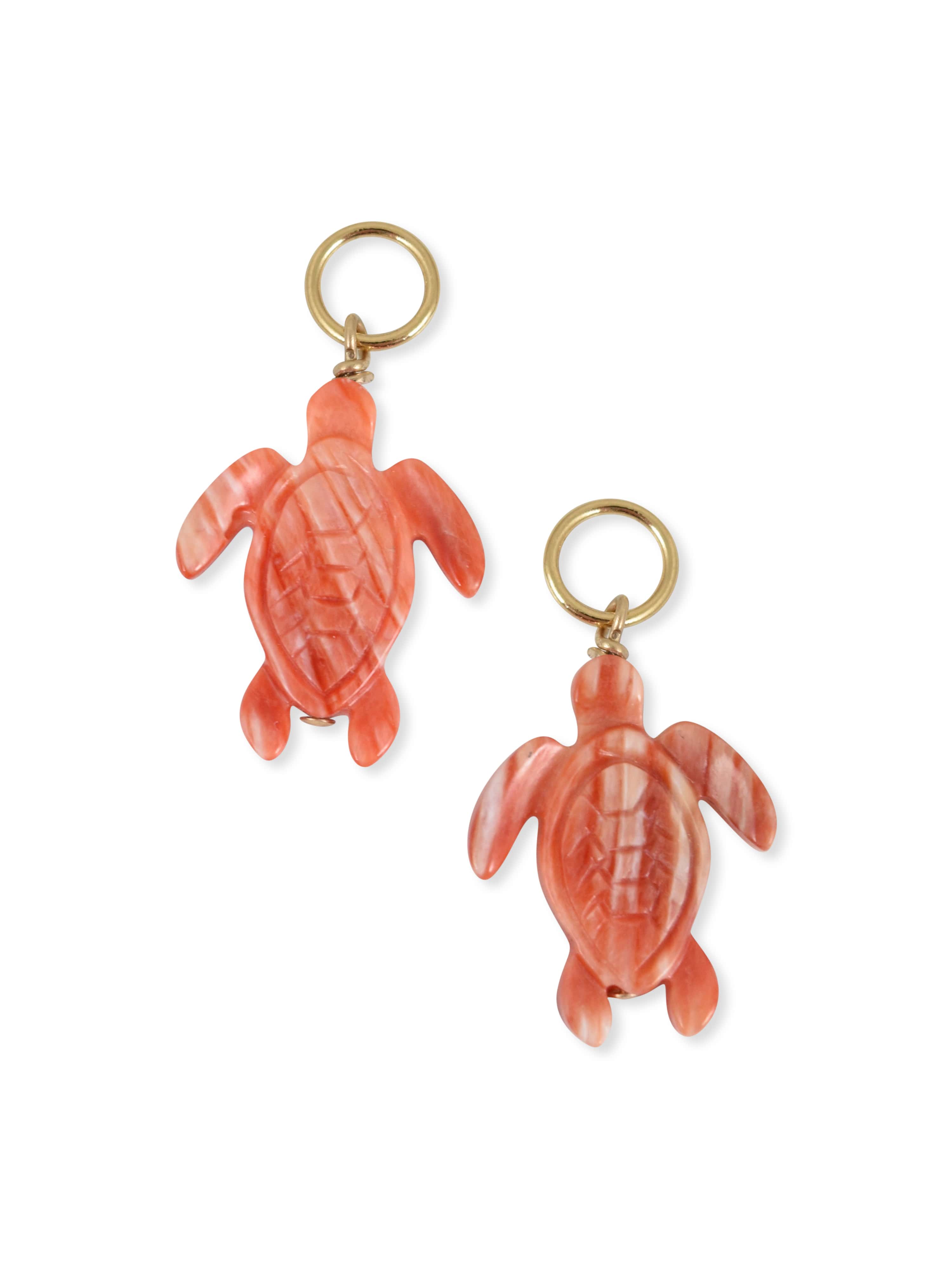 Turtle Charm in Orange Spiny Oyster