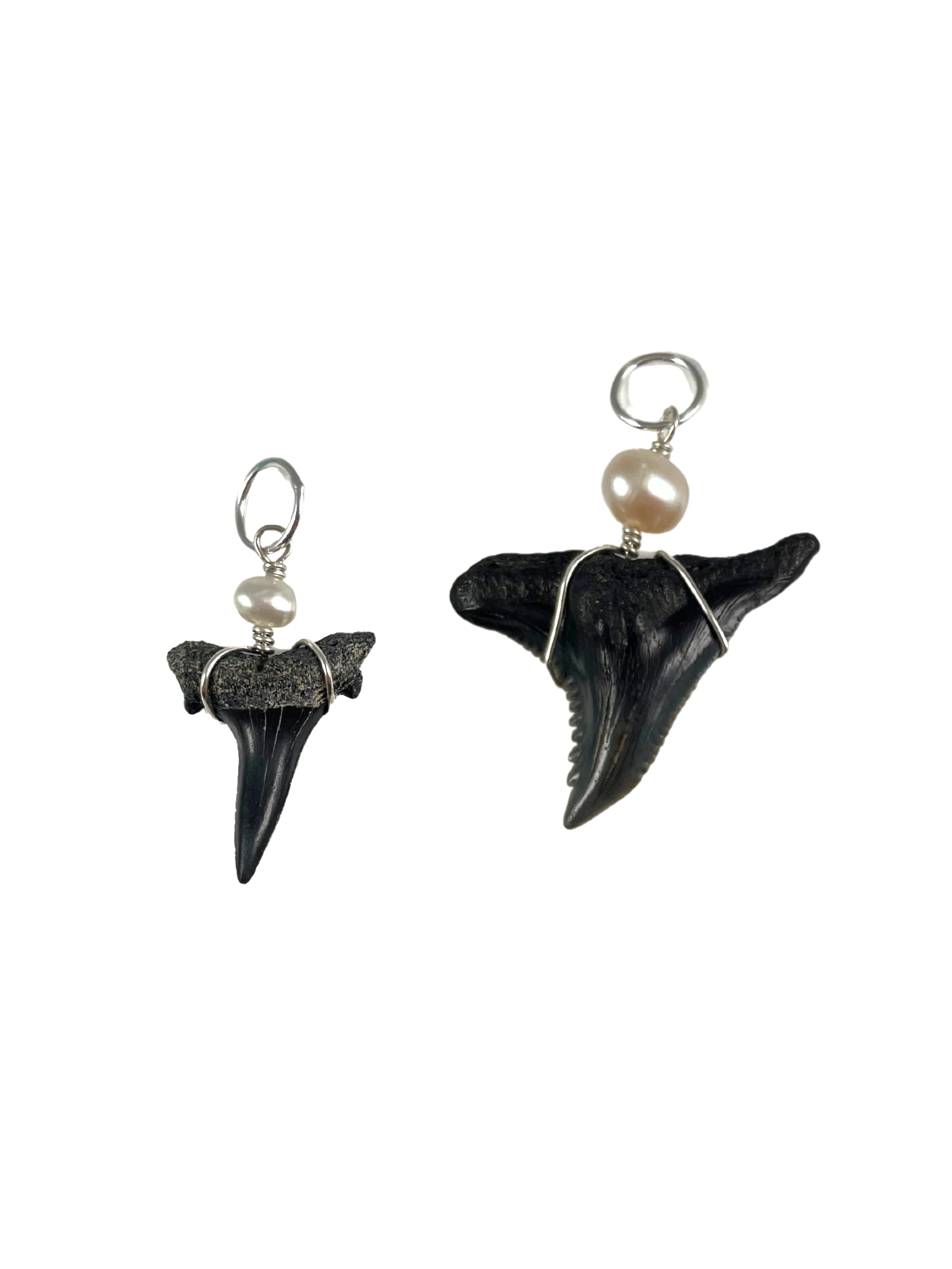 Natural Shark Tooth Charms