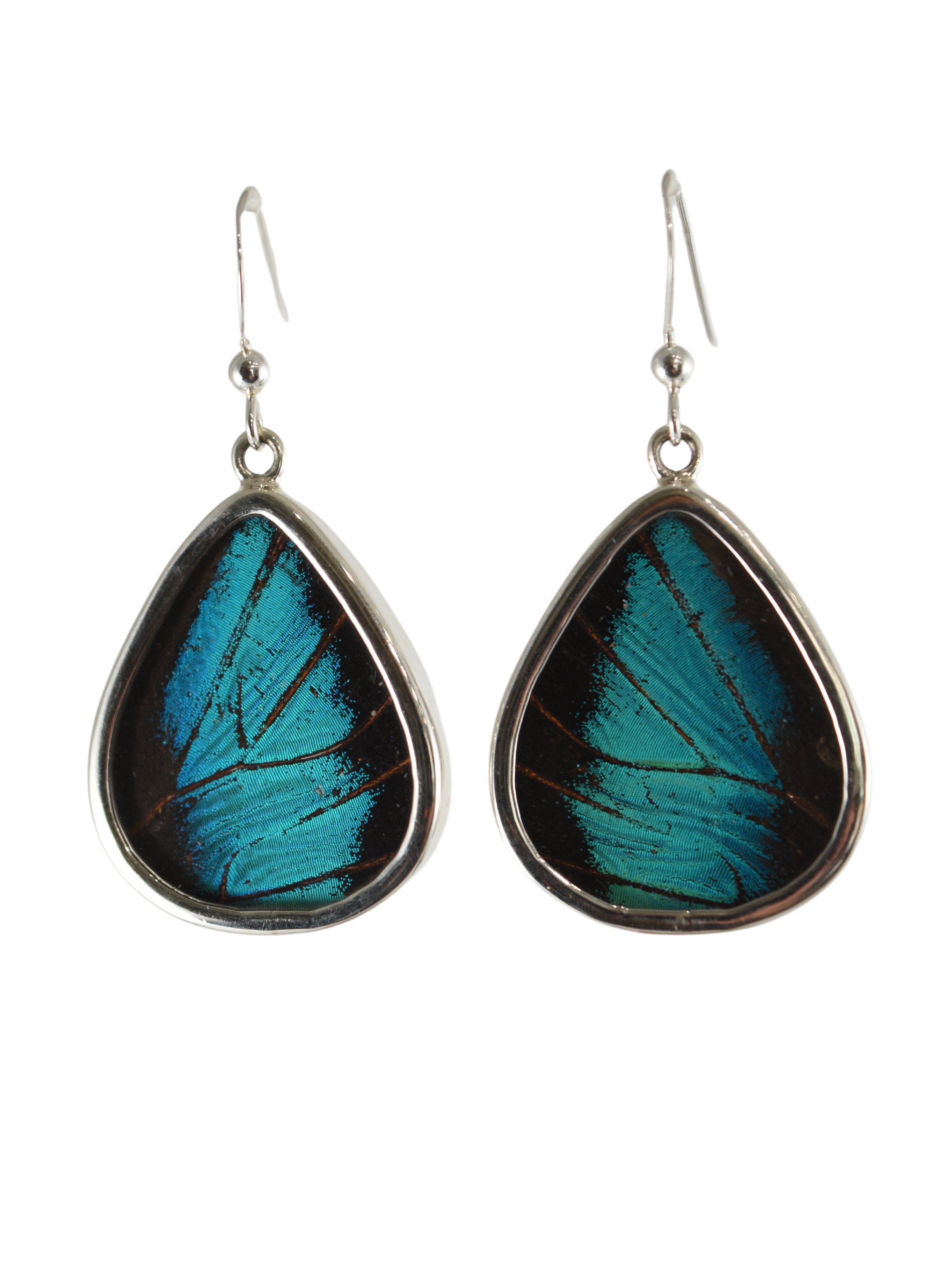 Mariposa Butterfly Teardrops in Turquoise