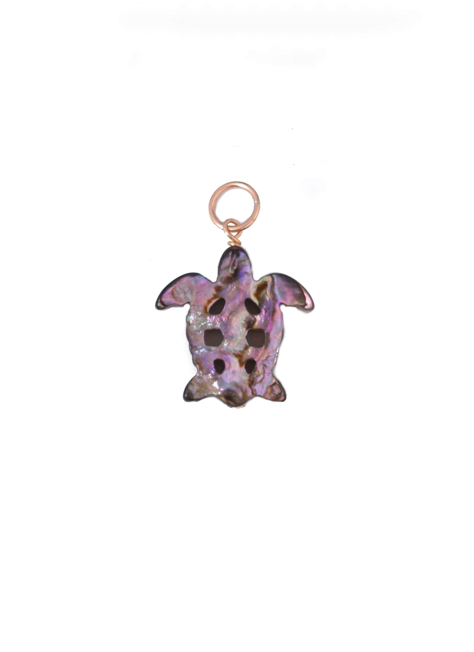 Carved Turtle Charm in Abalone