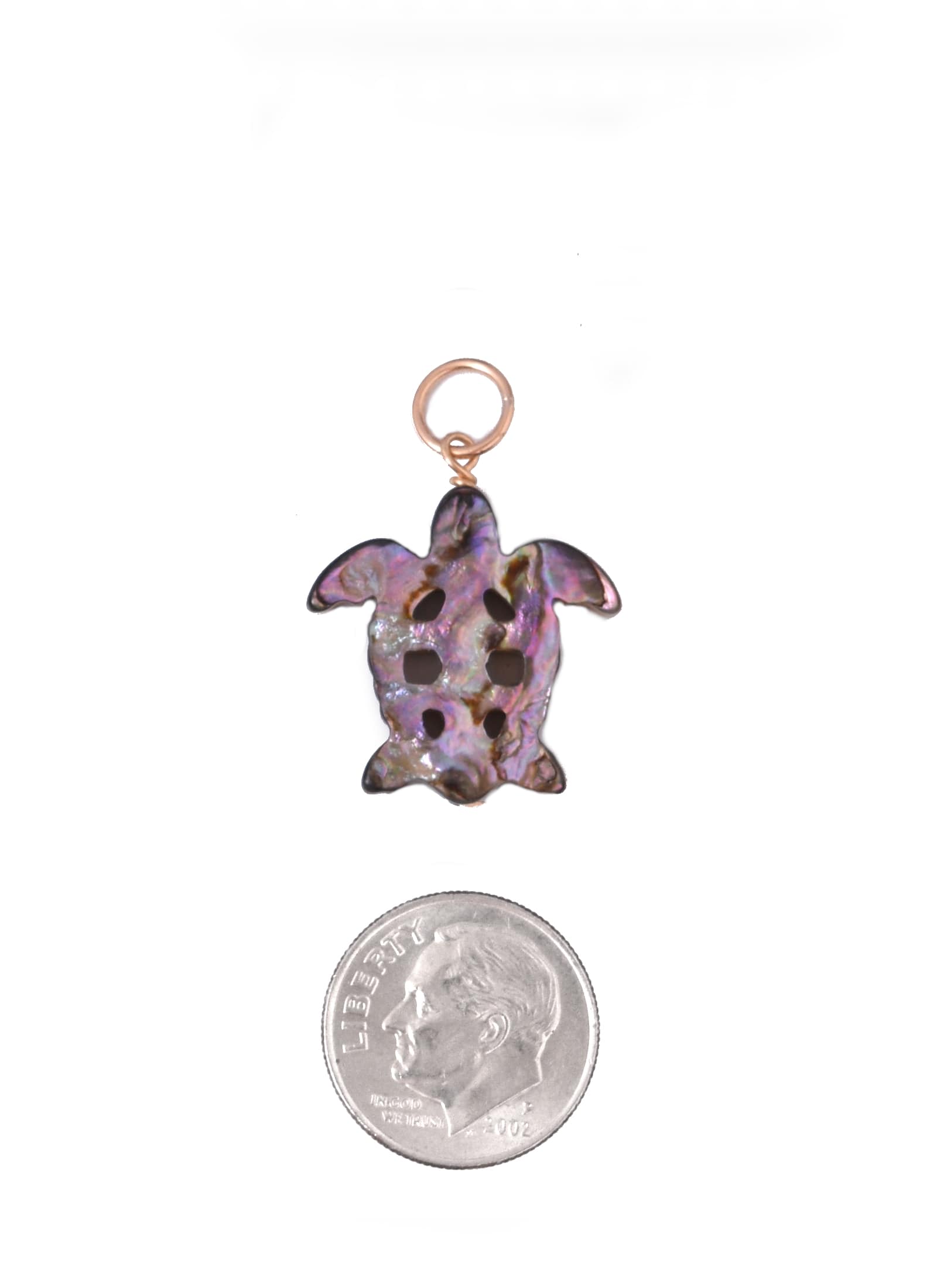 Carved Turtle Charm in Abalone