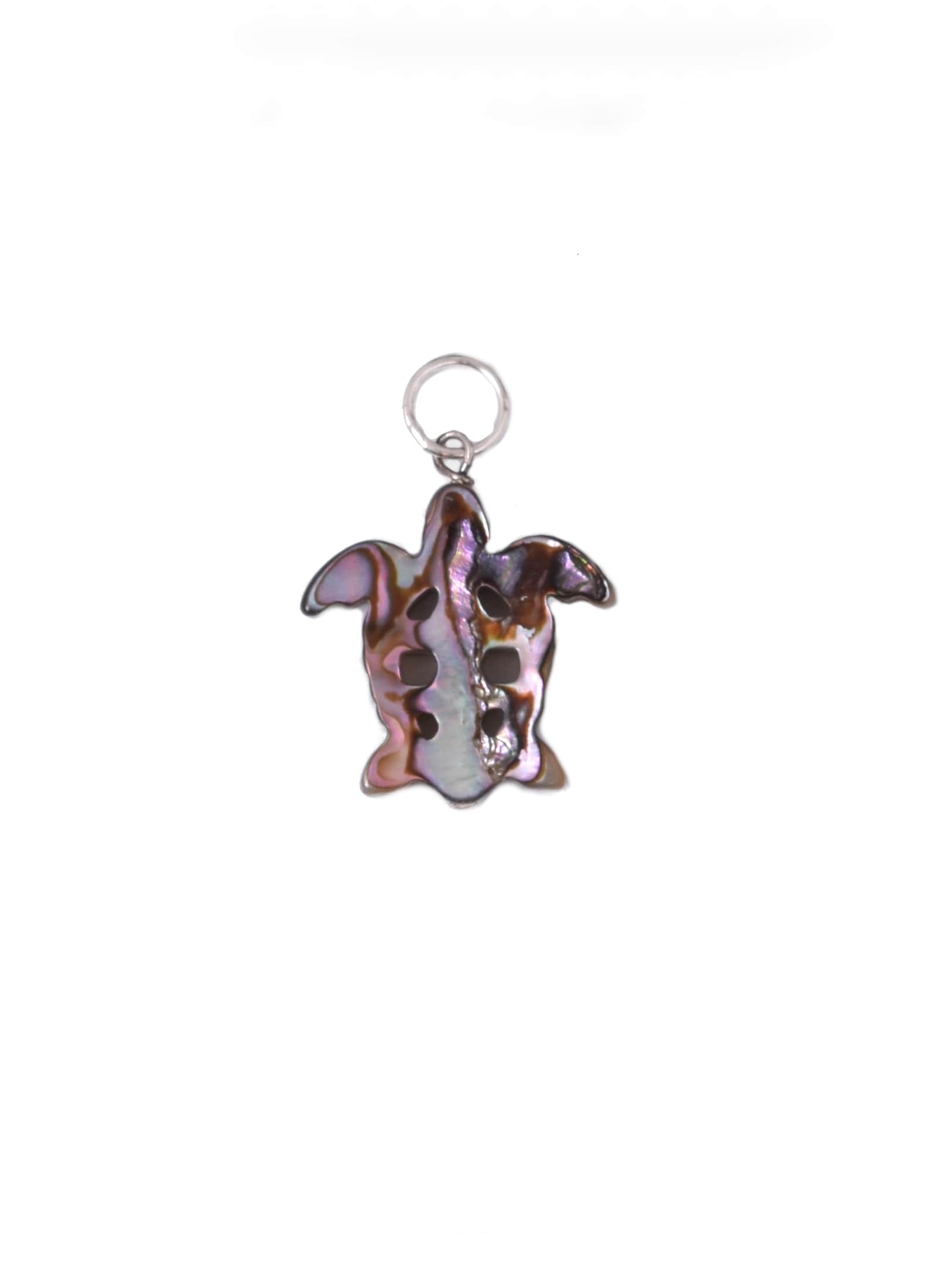 Carved Turtle Charm in Abalone