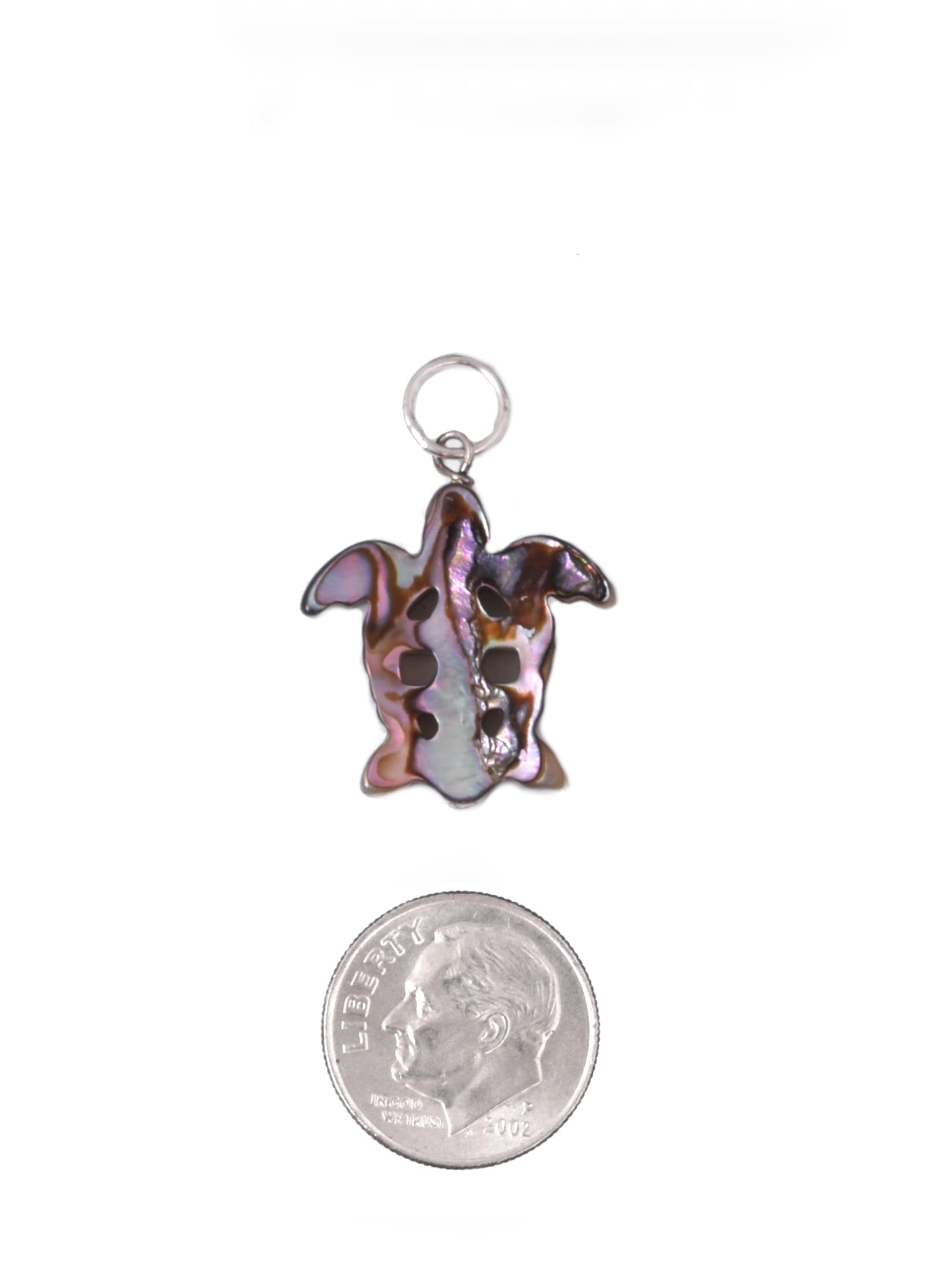 Carved Turtle Charm in Abalone