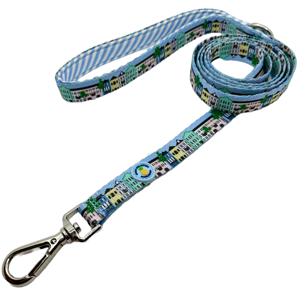 Rainbow Row Dog Leash