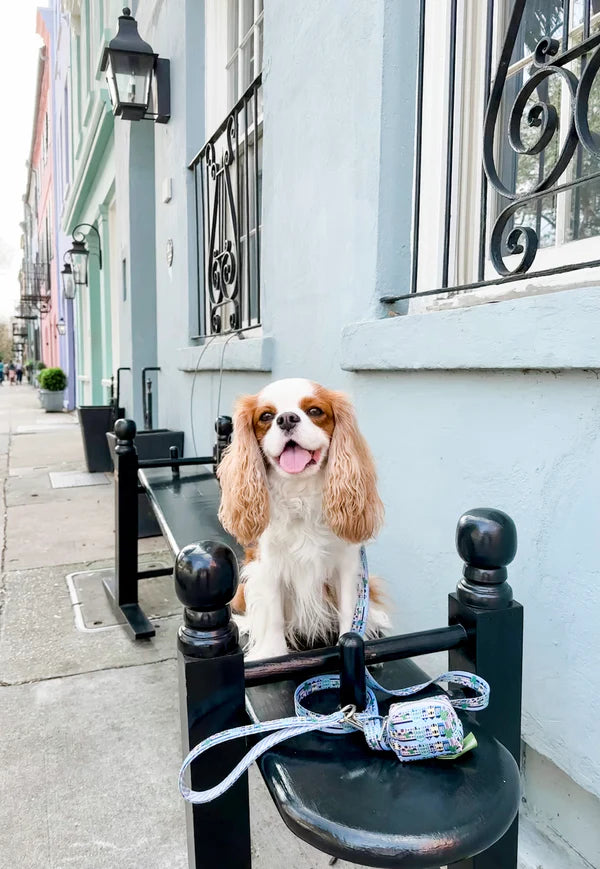 Rainbow Row Dog Leash