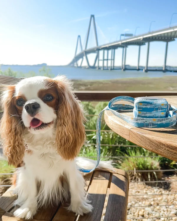 Ravenel Bridge Dog Leash