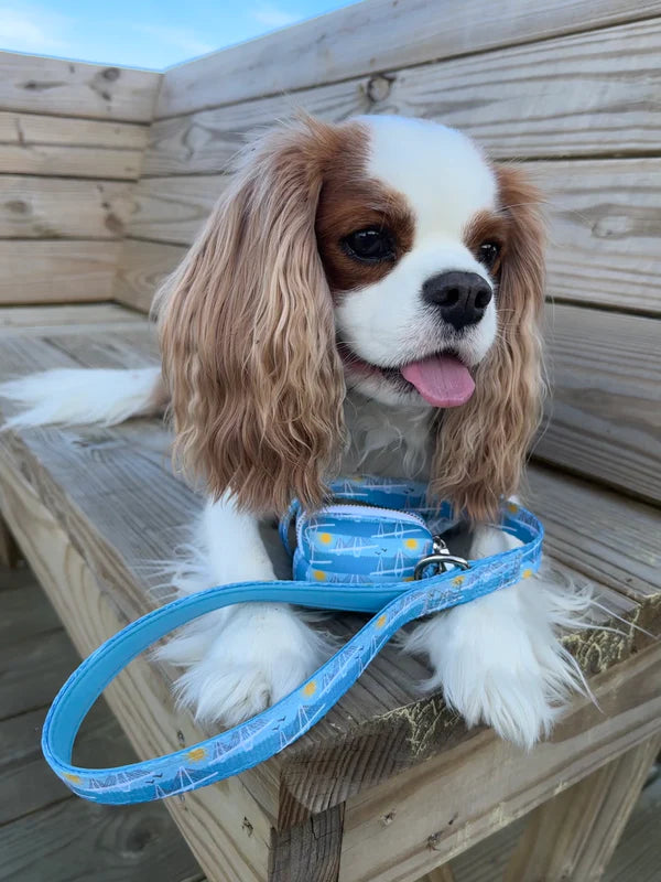 Ravenel Bridge Dog Leash