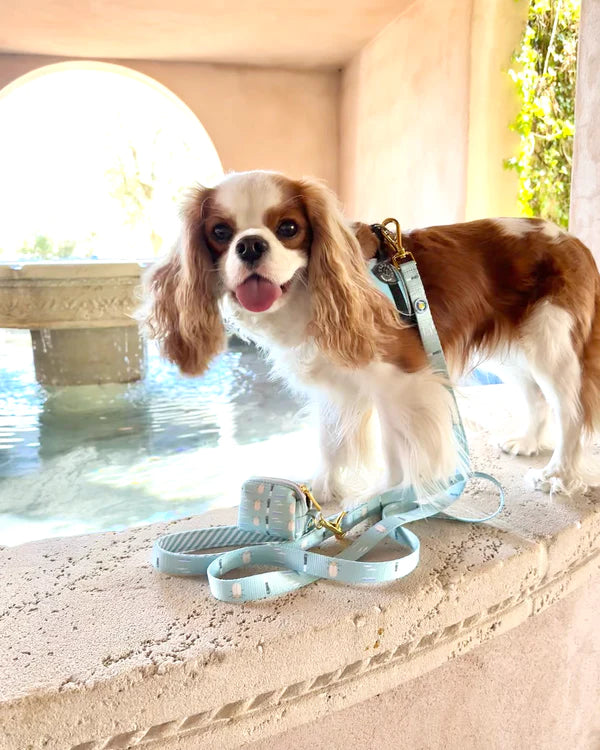 Sullivan's Island Dog Leash