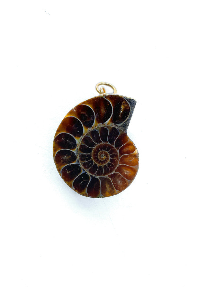 Ammonite Fossil Charm
