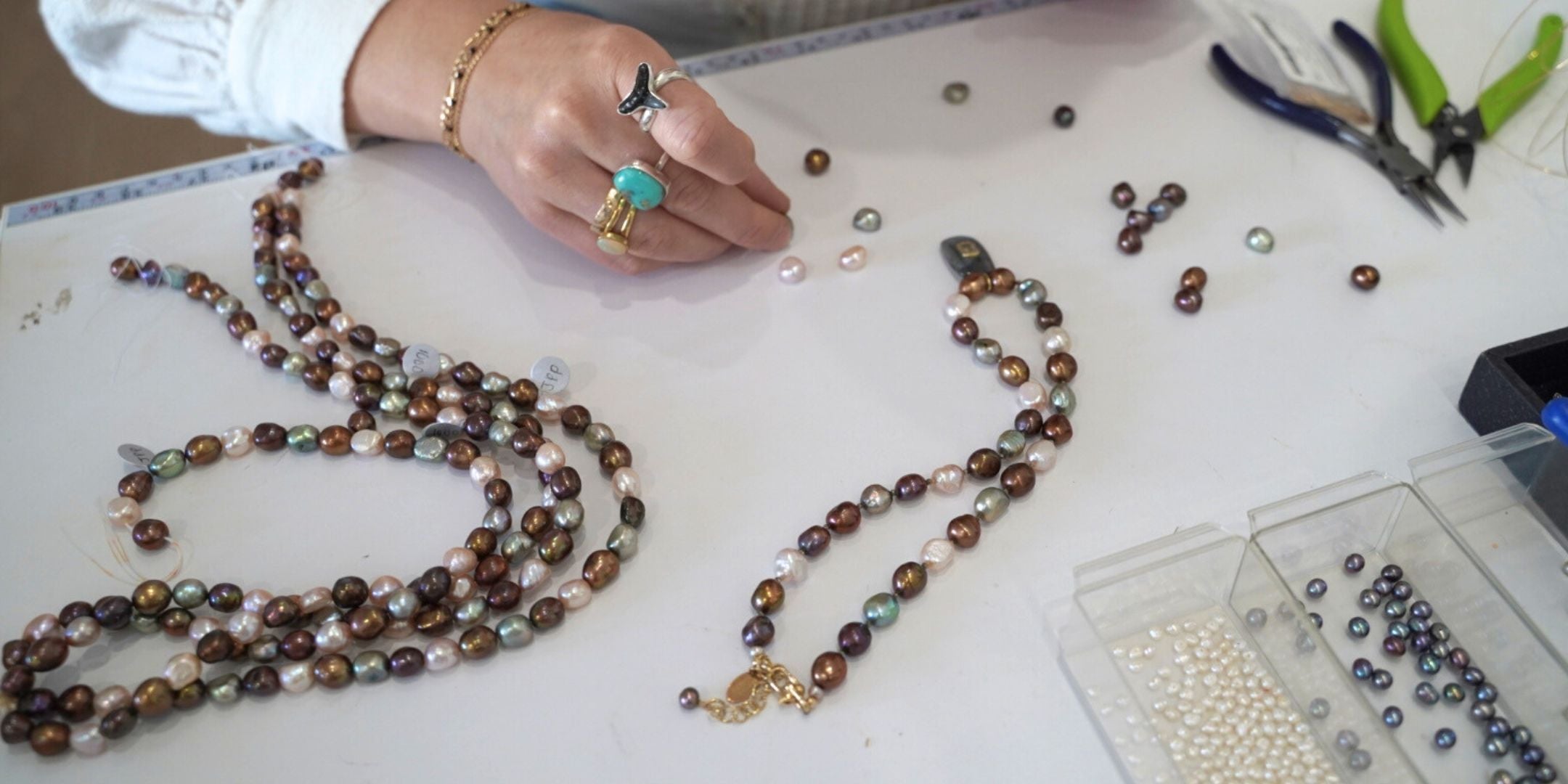 The Harvest Collection