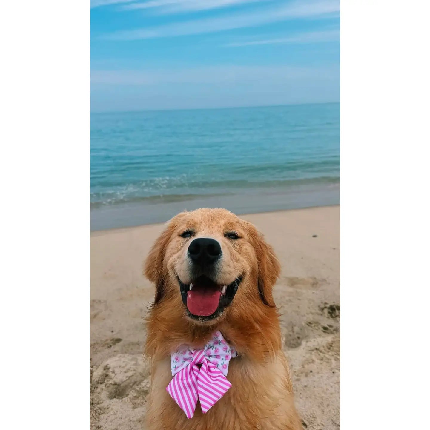 Pink Hydrangea Bow Tie