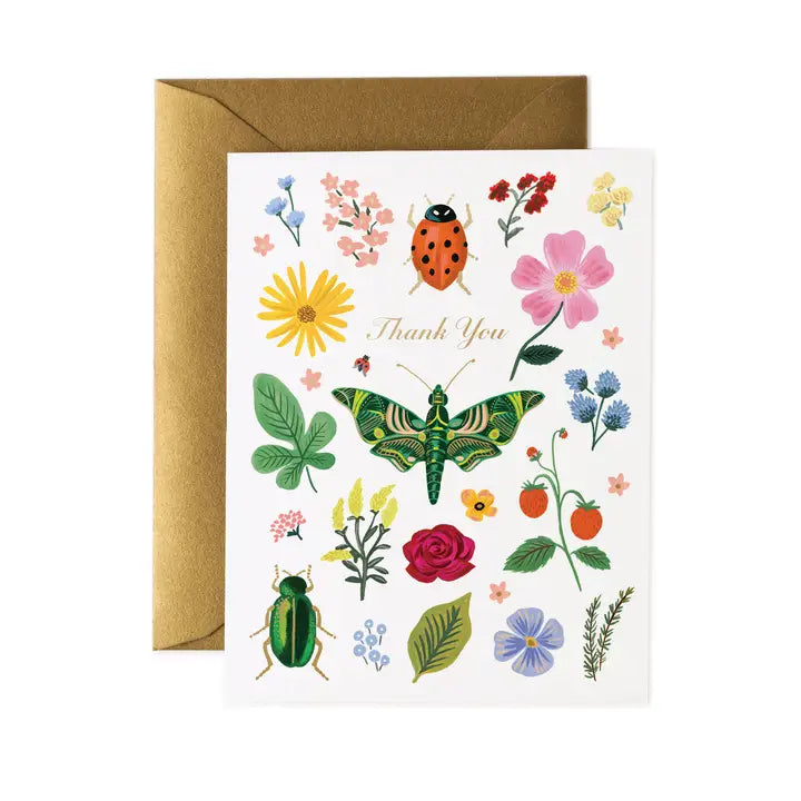 Curio Thank You Card Set