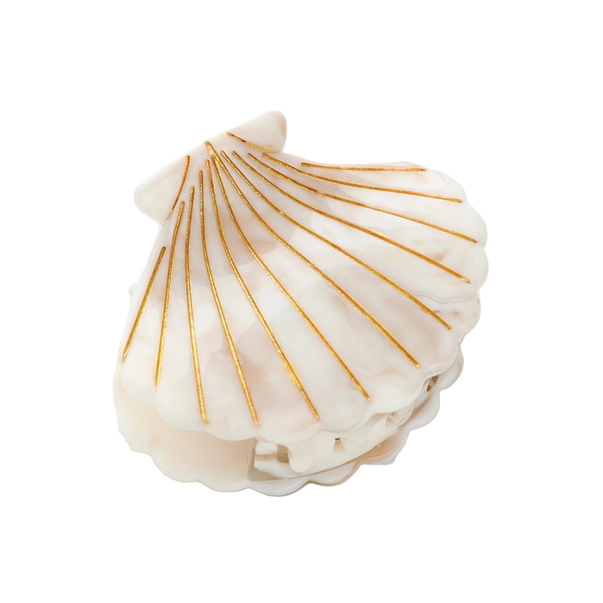 Mini Scallop Shell Claw Clip