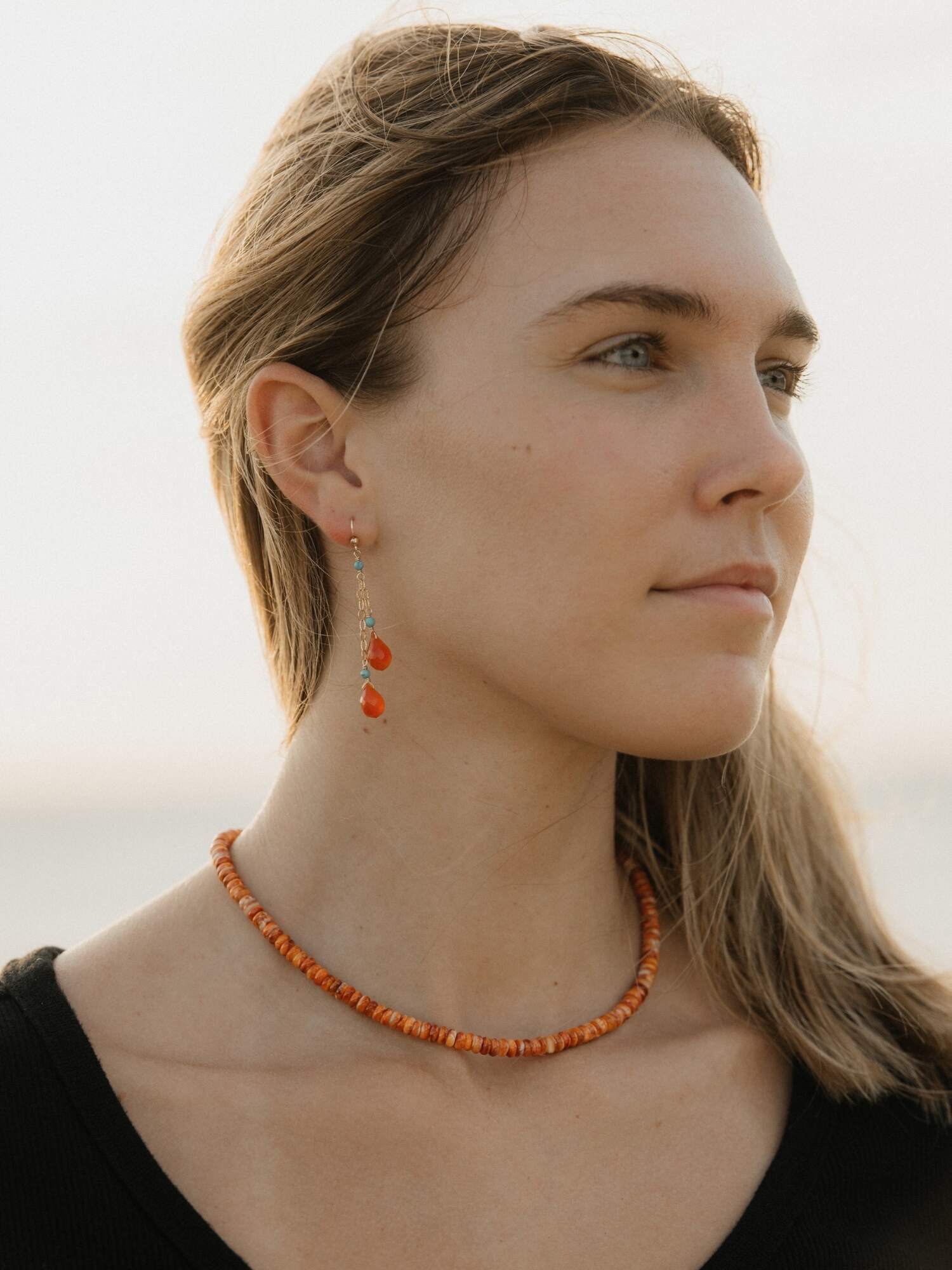 Carnelian Coast Earrings