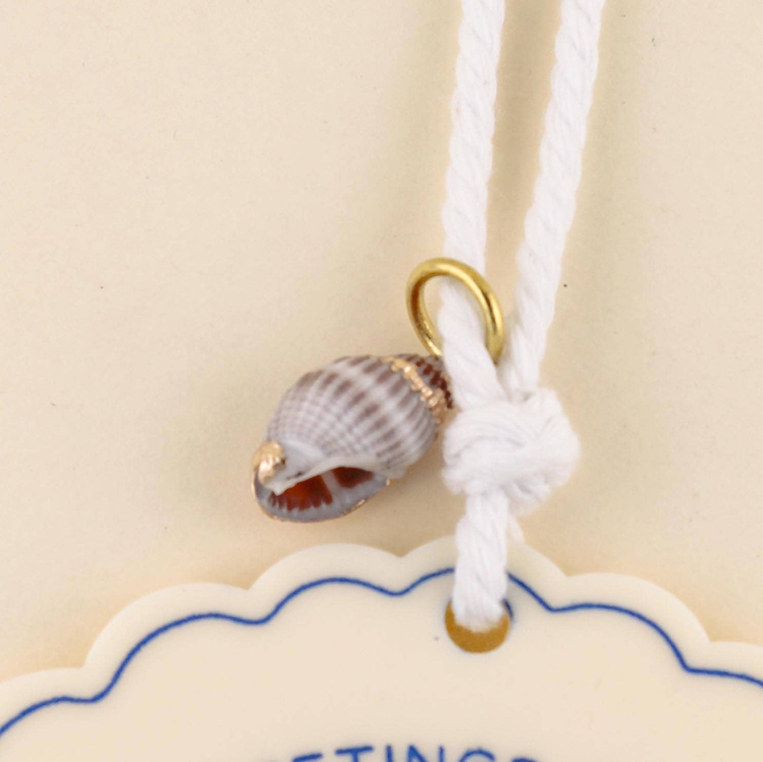 Seashell charm on a white cord with a gold clasp against a beige background