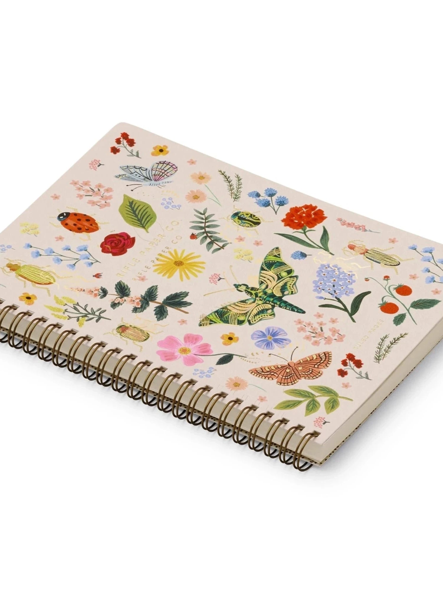 Curio Spiral Notebook