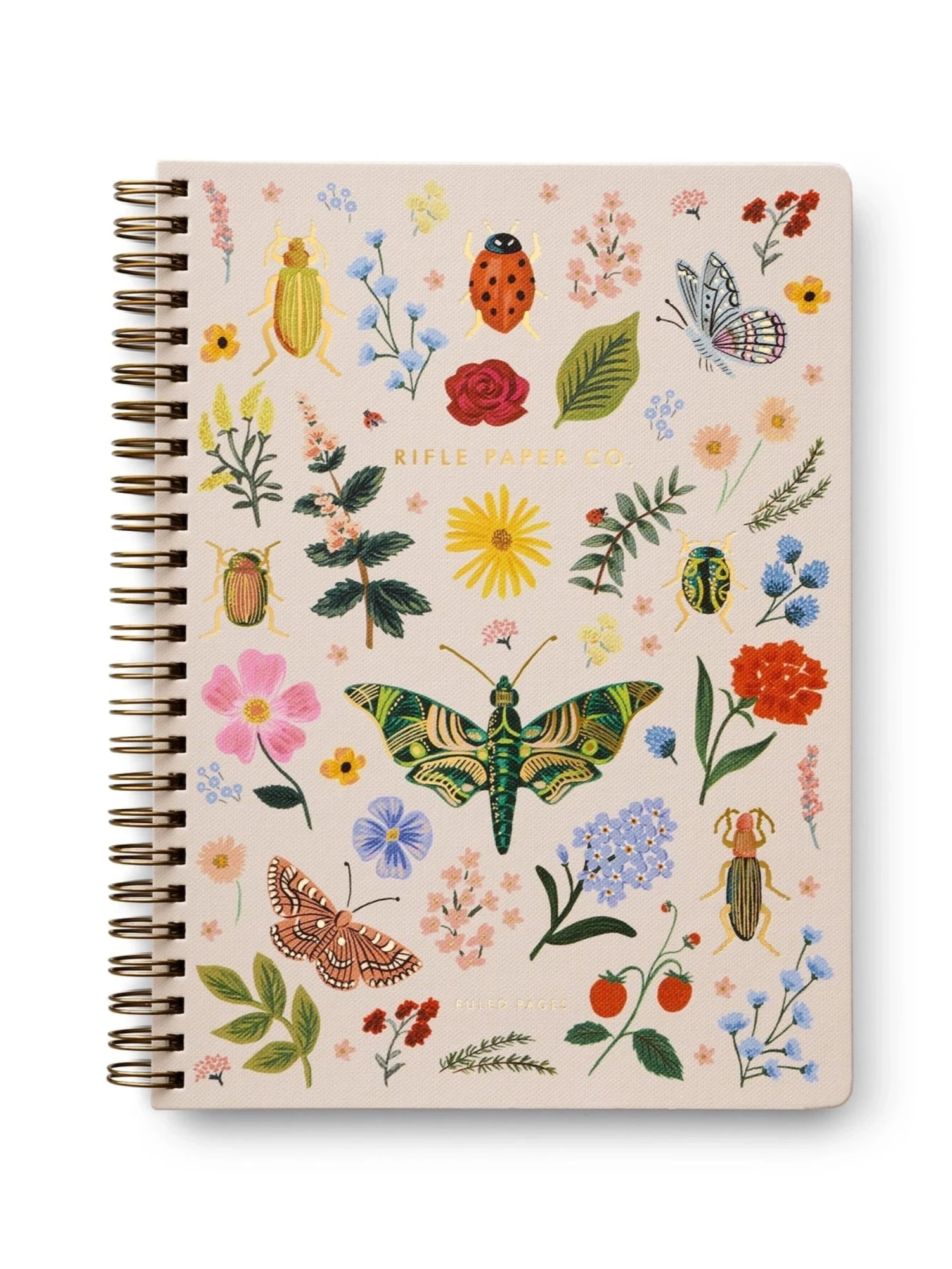 Curio Spiral Notebook