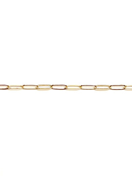 14kt Gold Goldie Chain