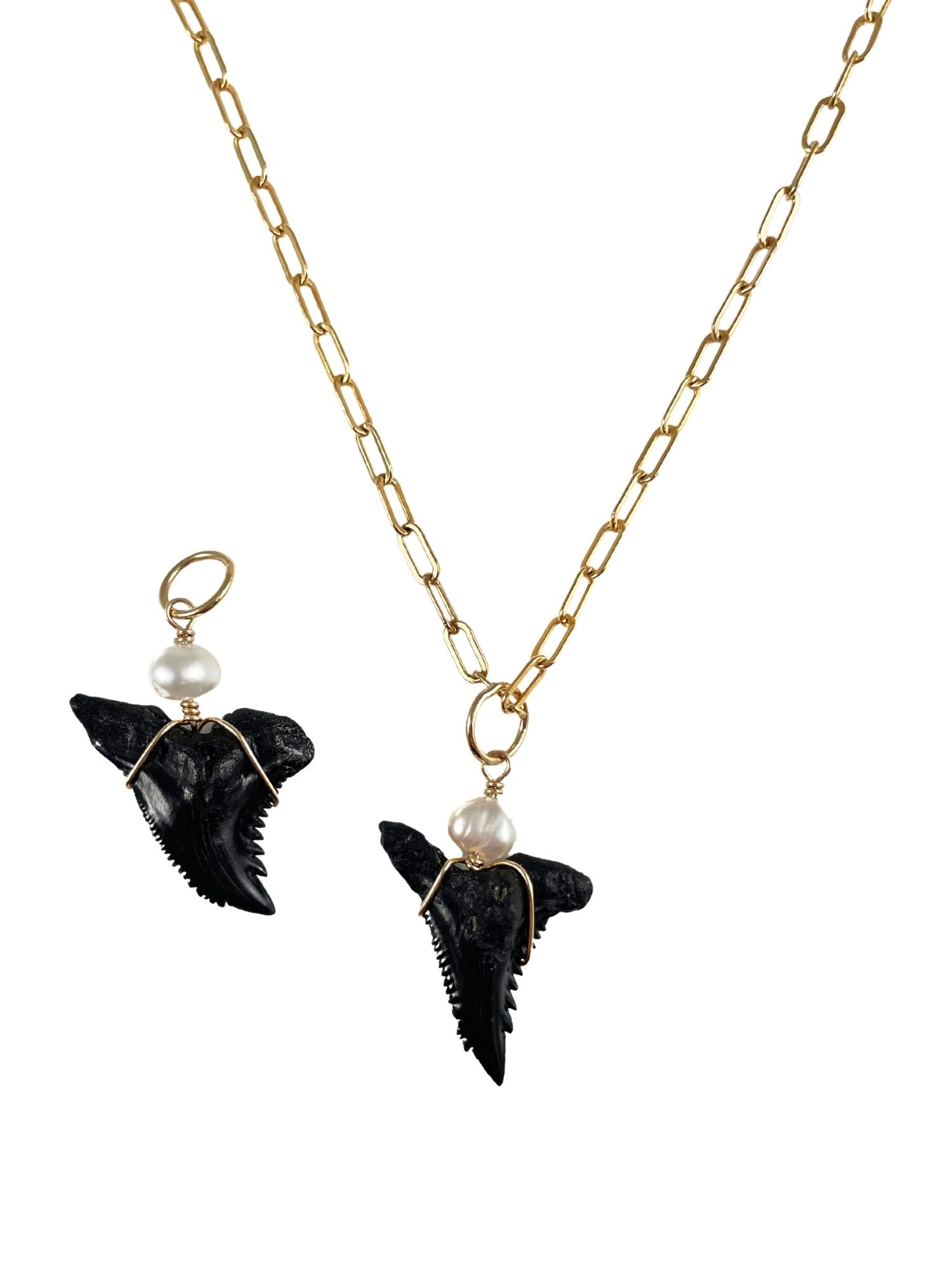 Large Shark Tooth Charm in Gold Filled 