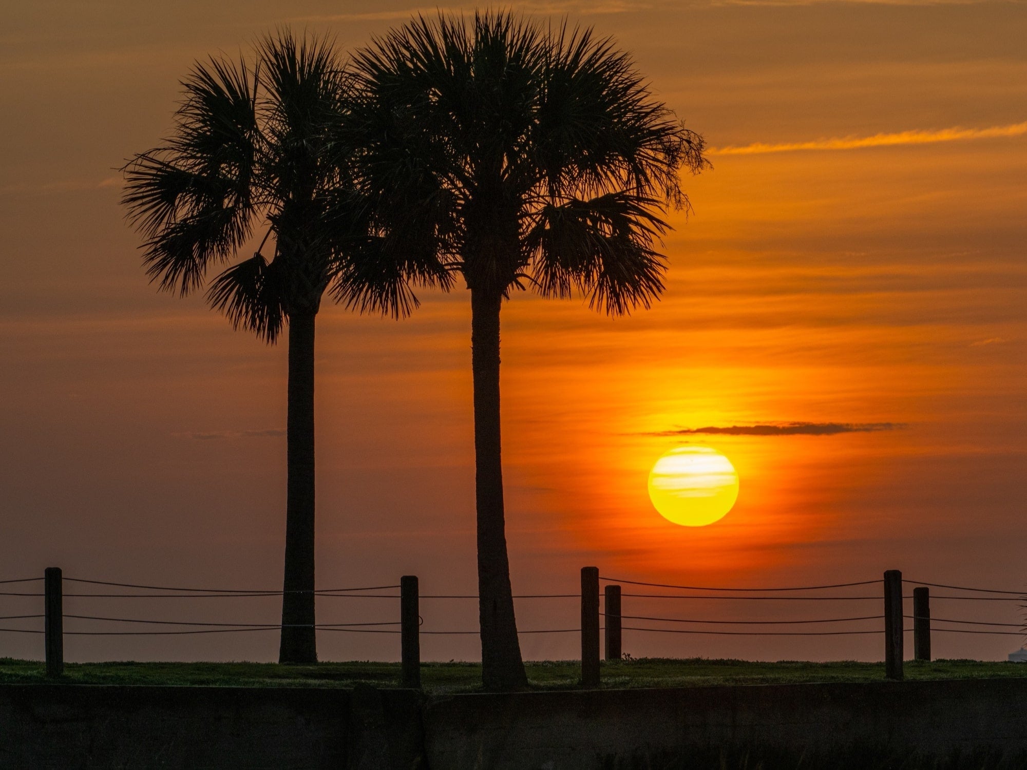 Lowcounty Life 2025 Wall Calendar 