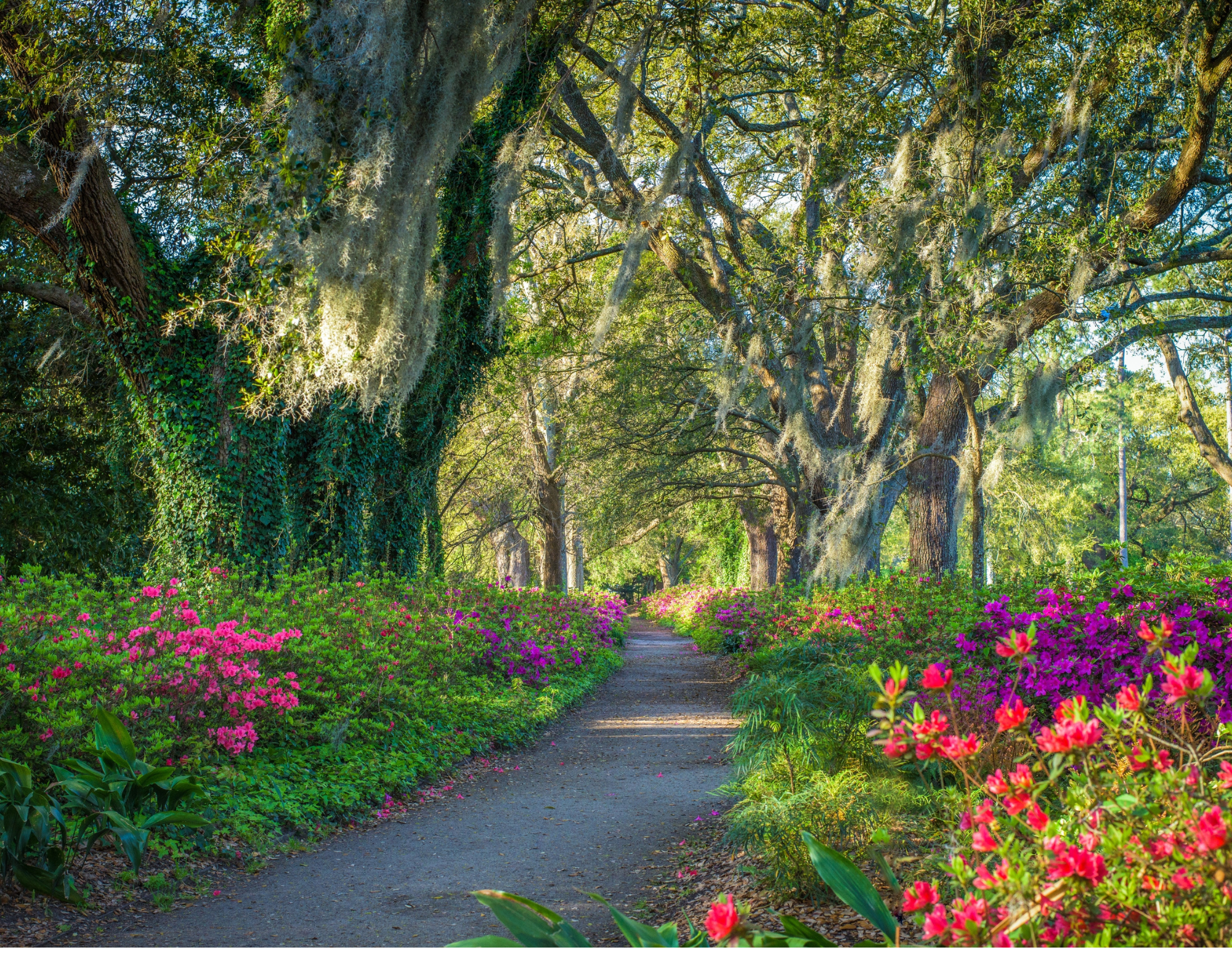 Lowcountry Life 2025 Wall Calendar