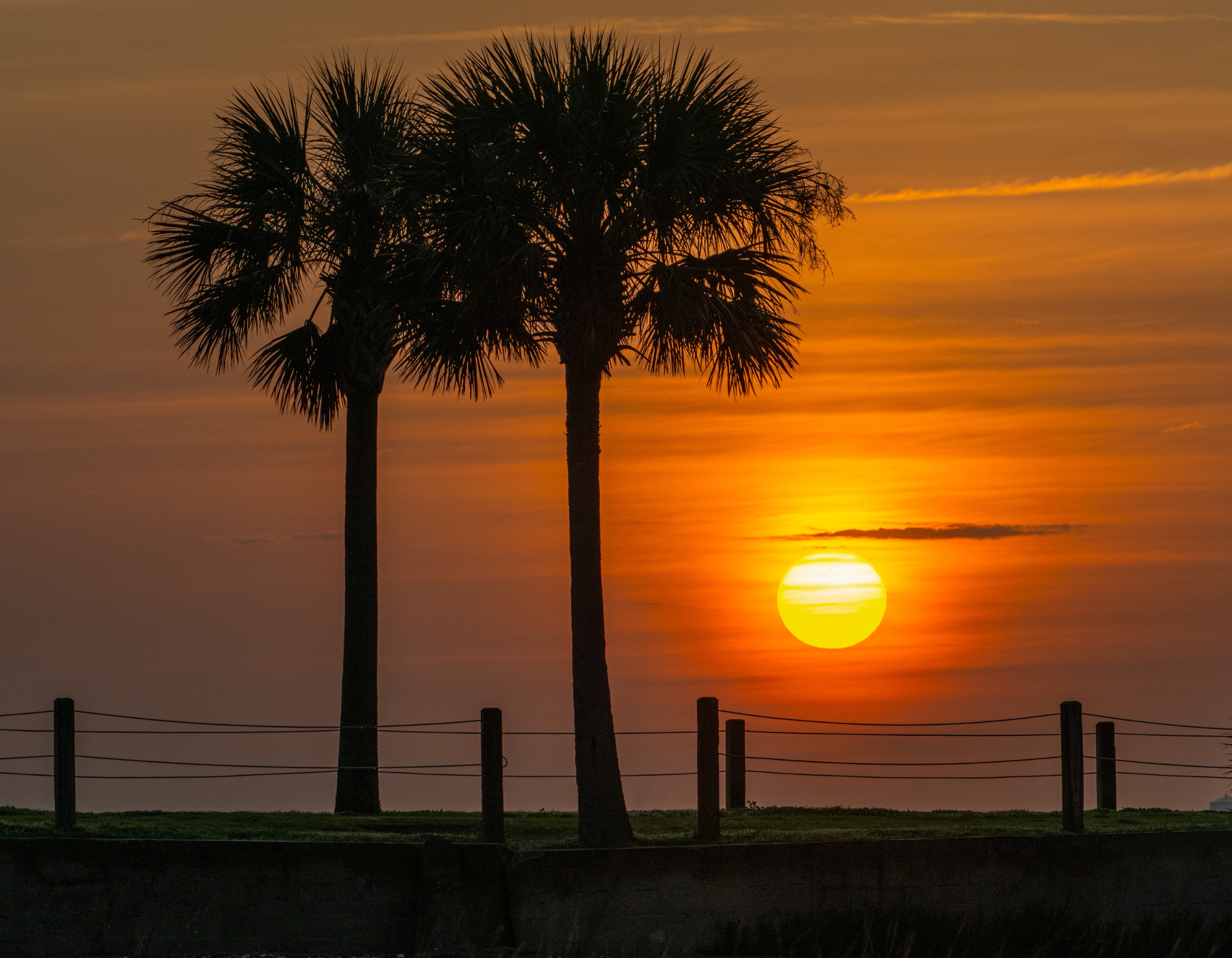 Lowcountry Life 2025 Wall Calendar