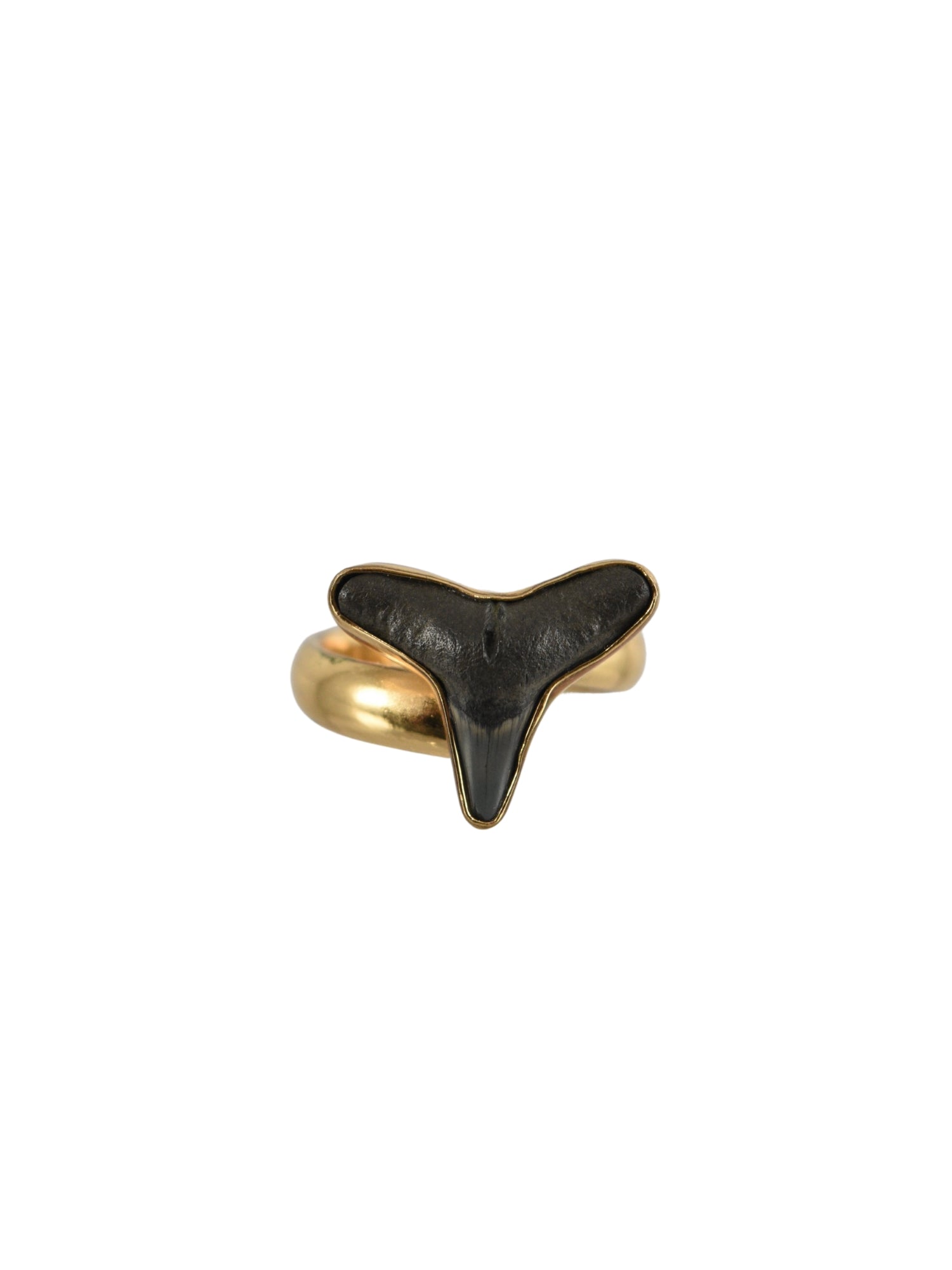 Lowtide Treasure Adjustable Ring