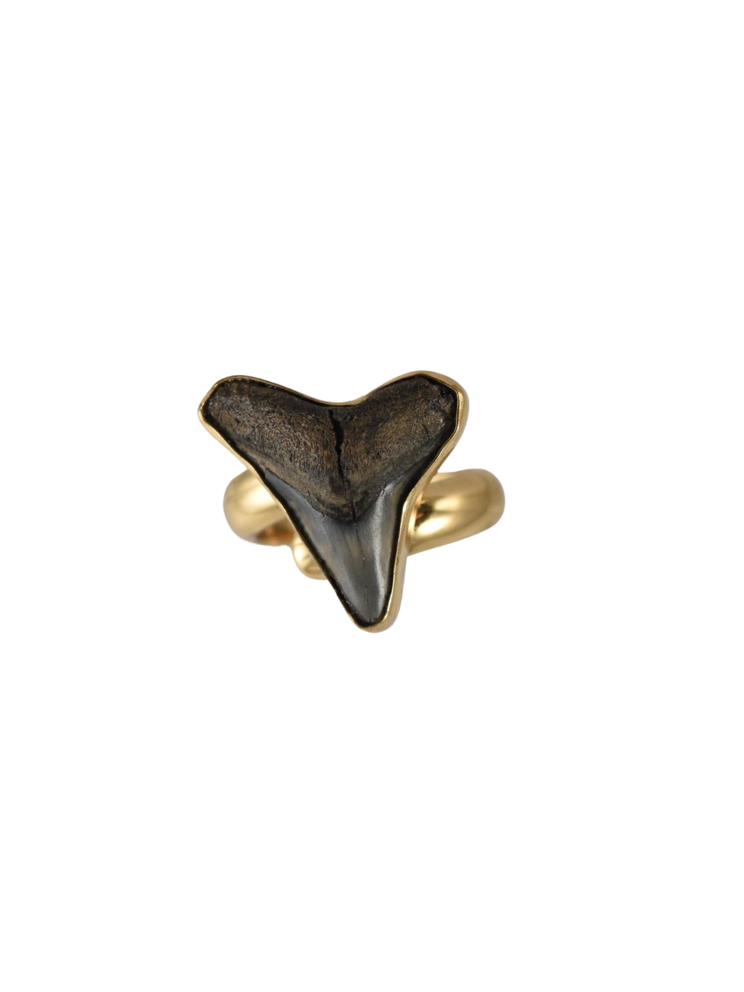 Lowtide Treasure Adjustable Ring