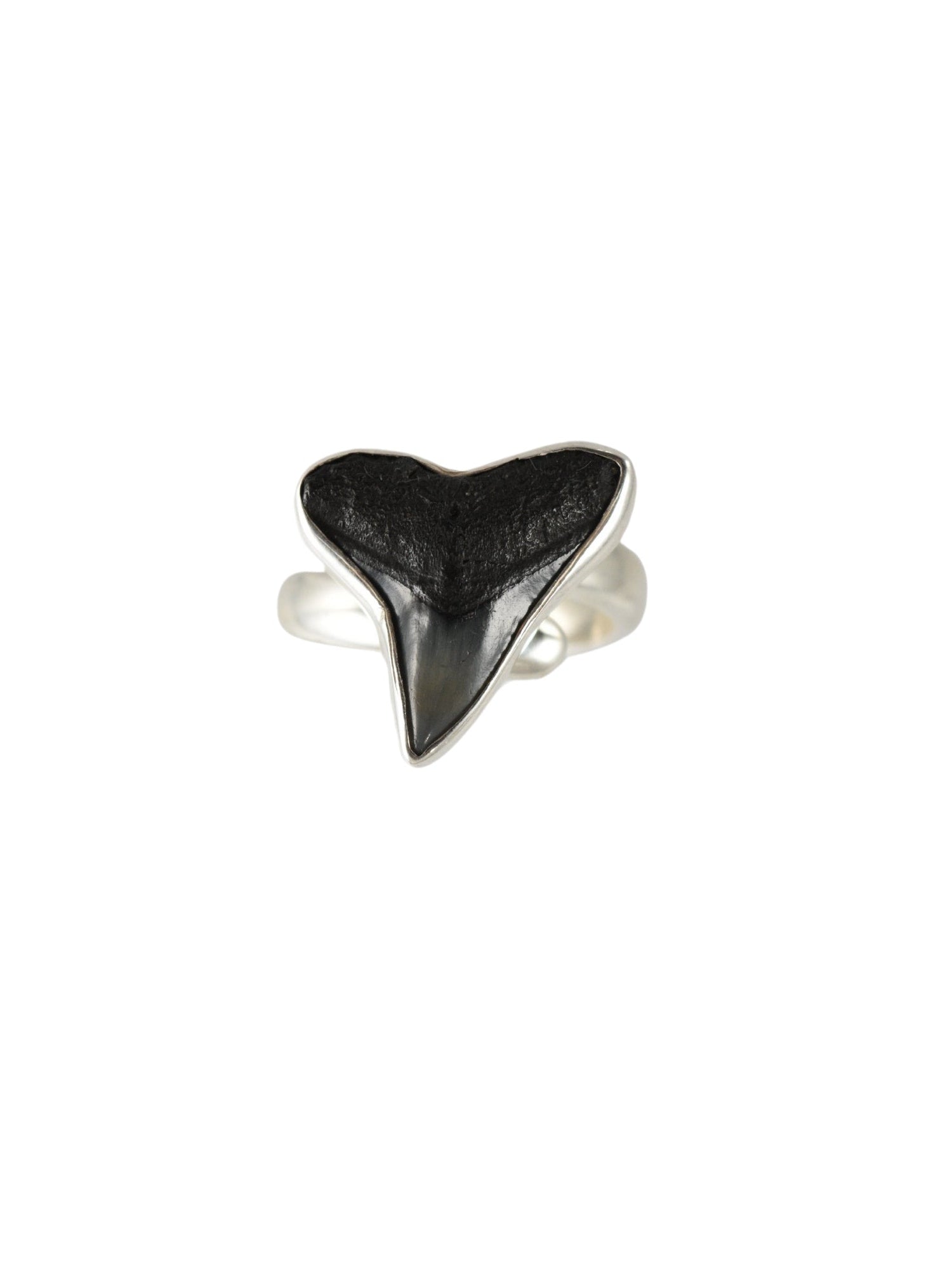 Lowtide Treasure Adjustable Ring