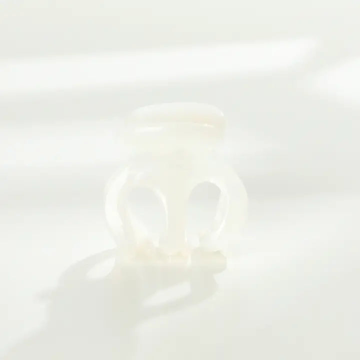 Mini Claw Clip