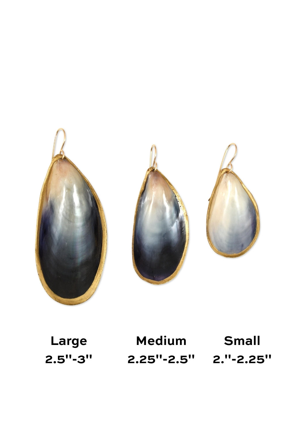 Mussel Earrings in Gold