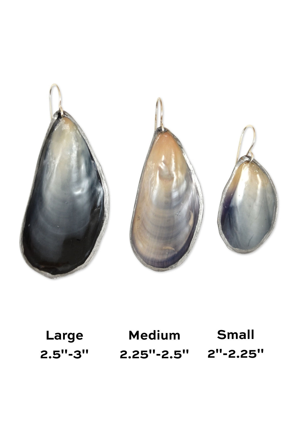 Mussel Earrings in Sterling Silver