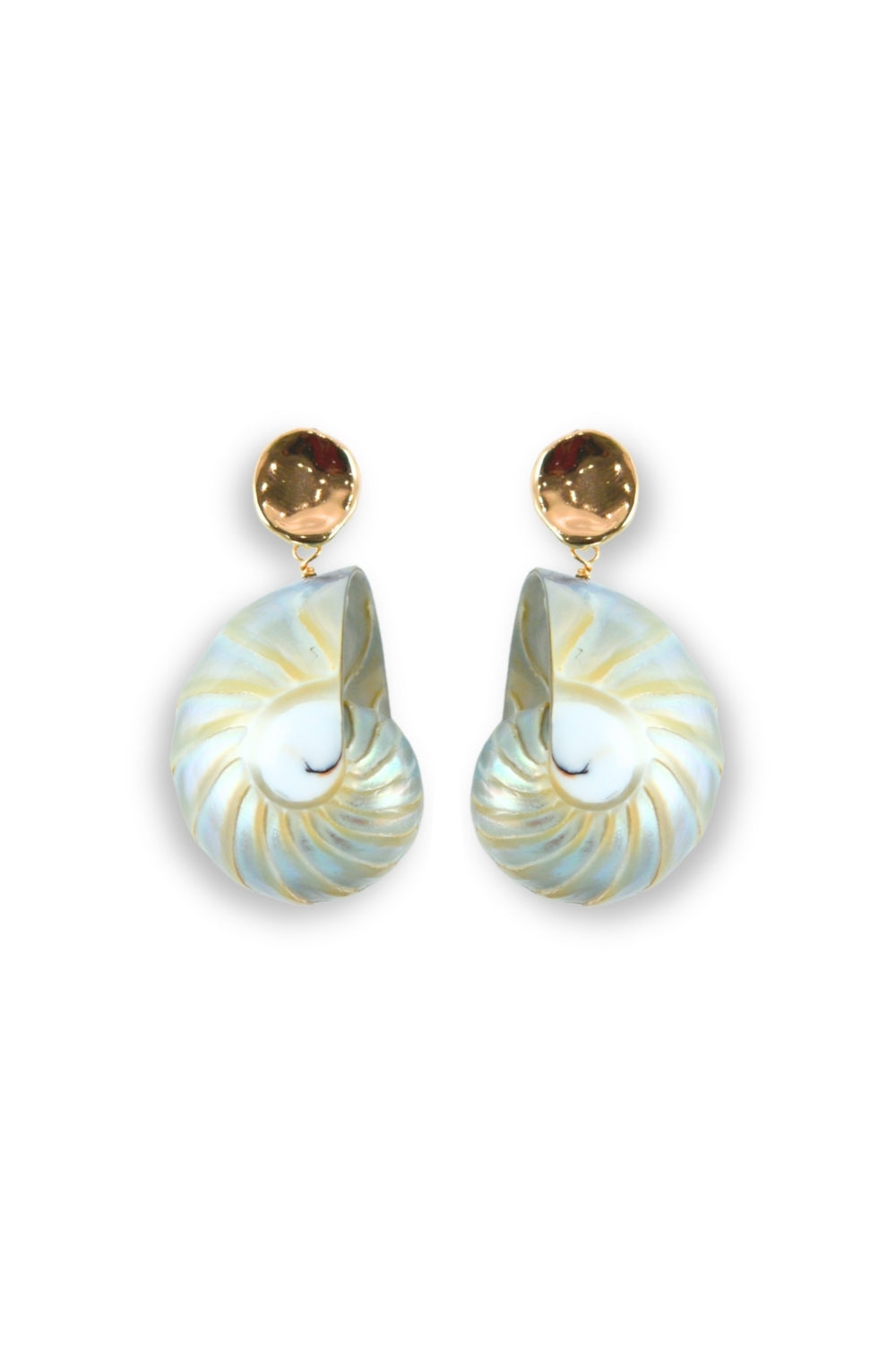 Nautilus Shell Earrings