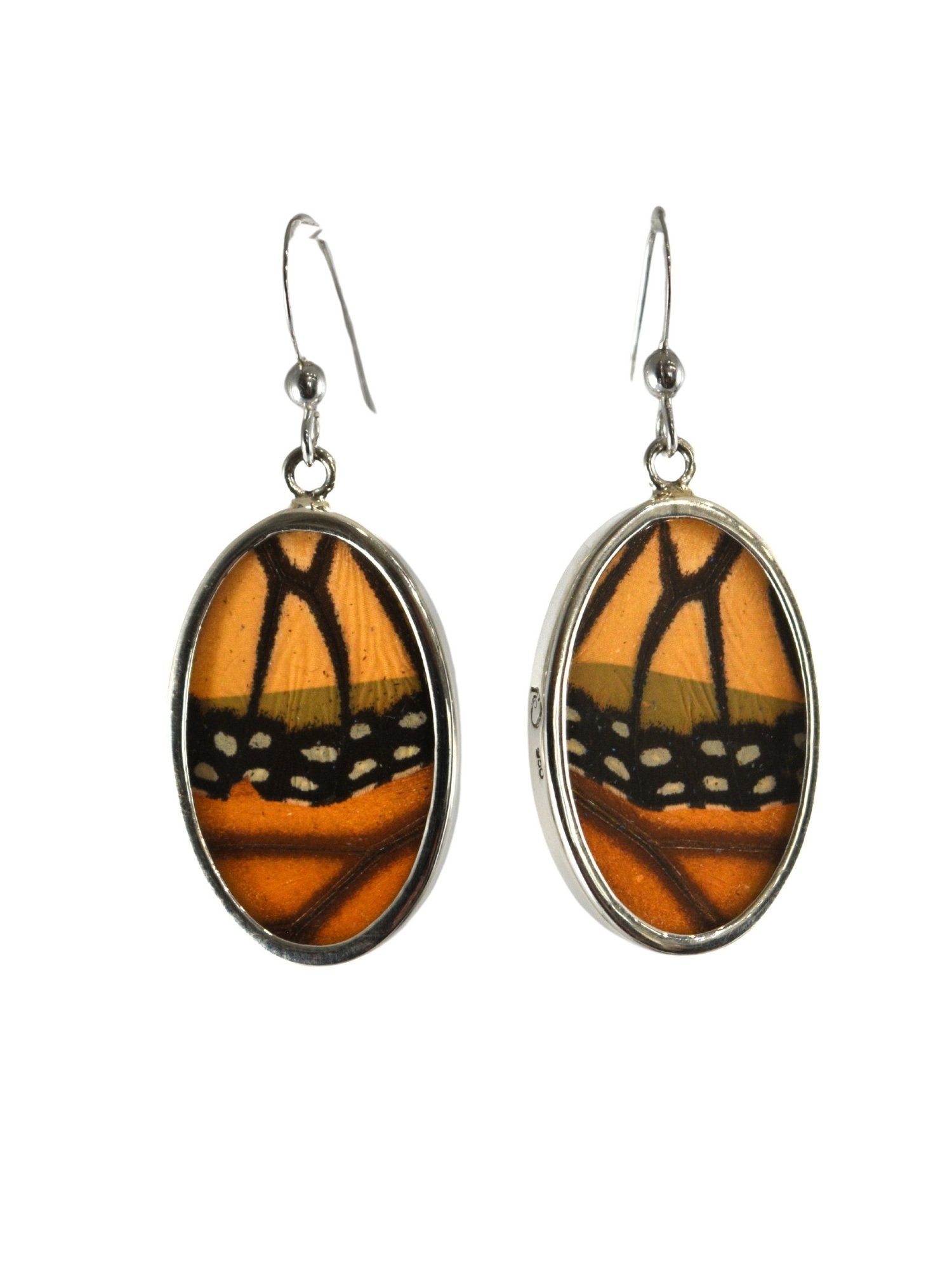 Oval Butterfly Earrings in Monarch 