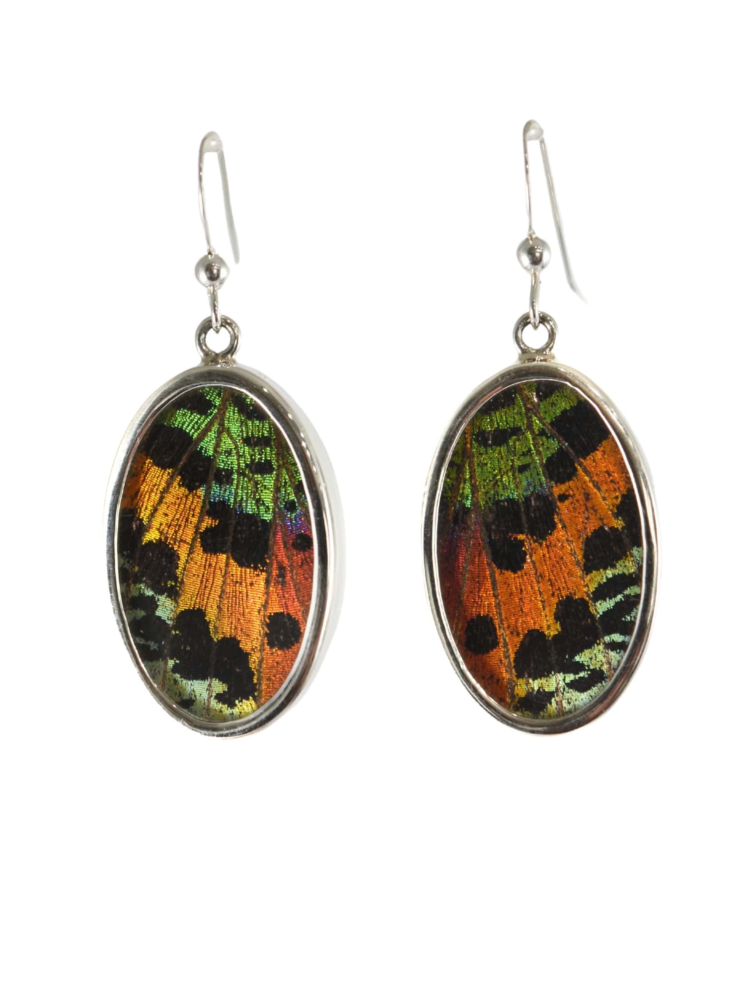 Butterfly Wing Earrings in Oval Rainbow Sunset